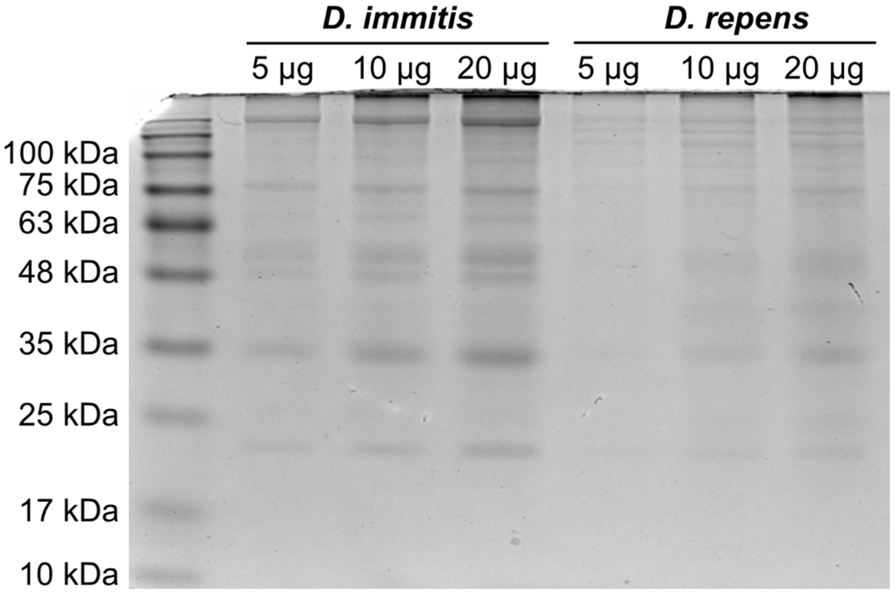 Preprints 115252 g002