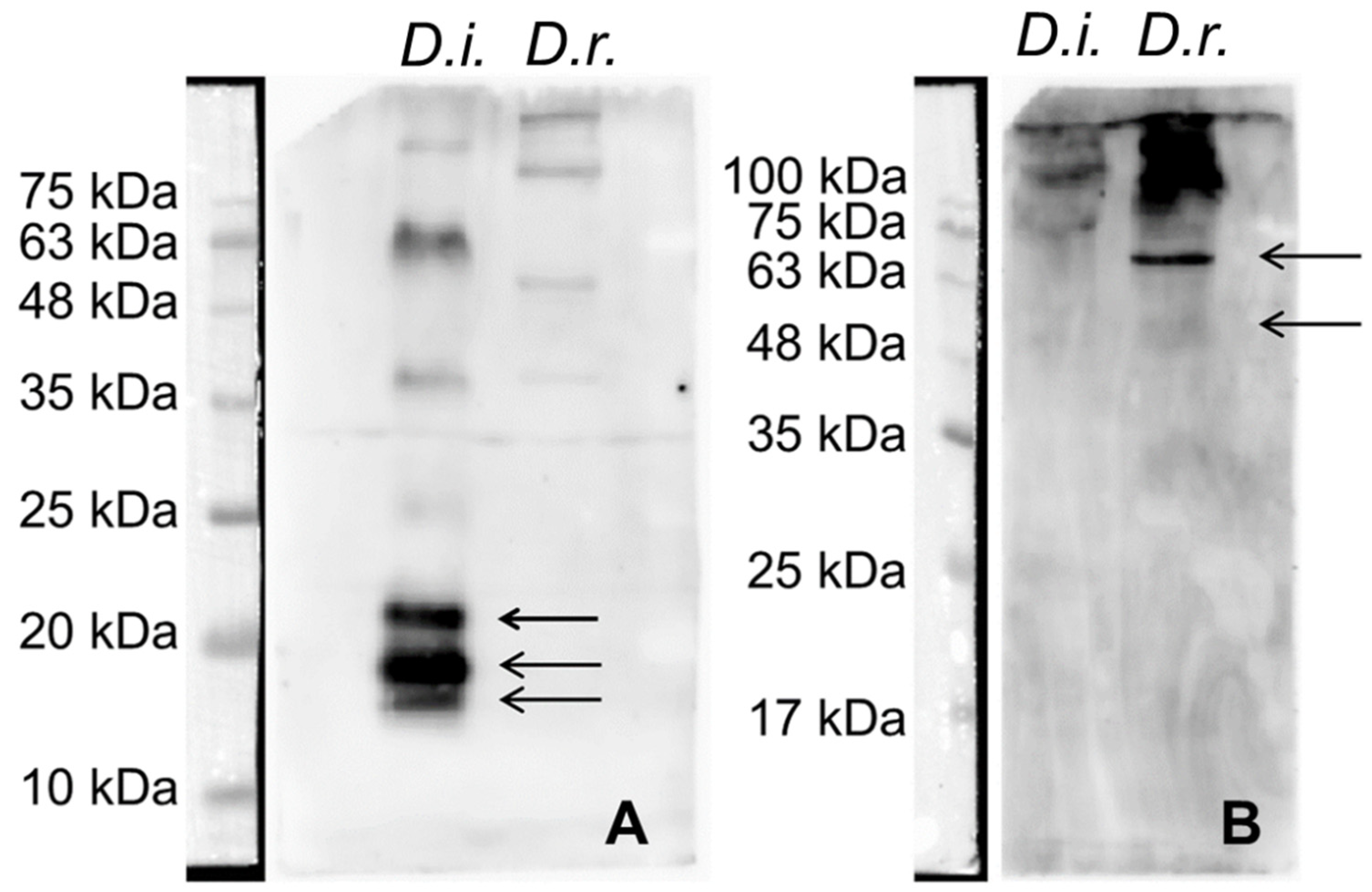 Preprints 115252 g003