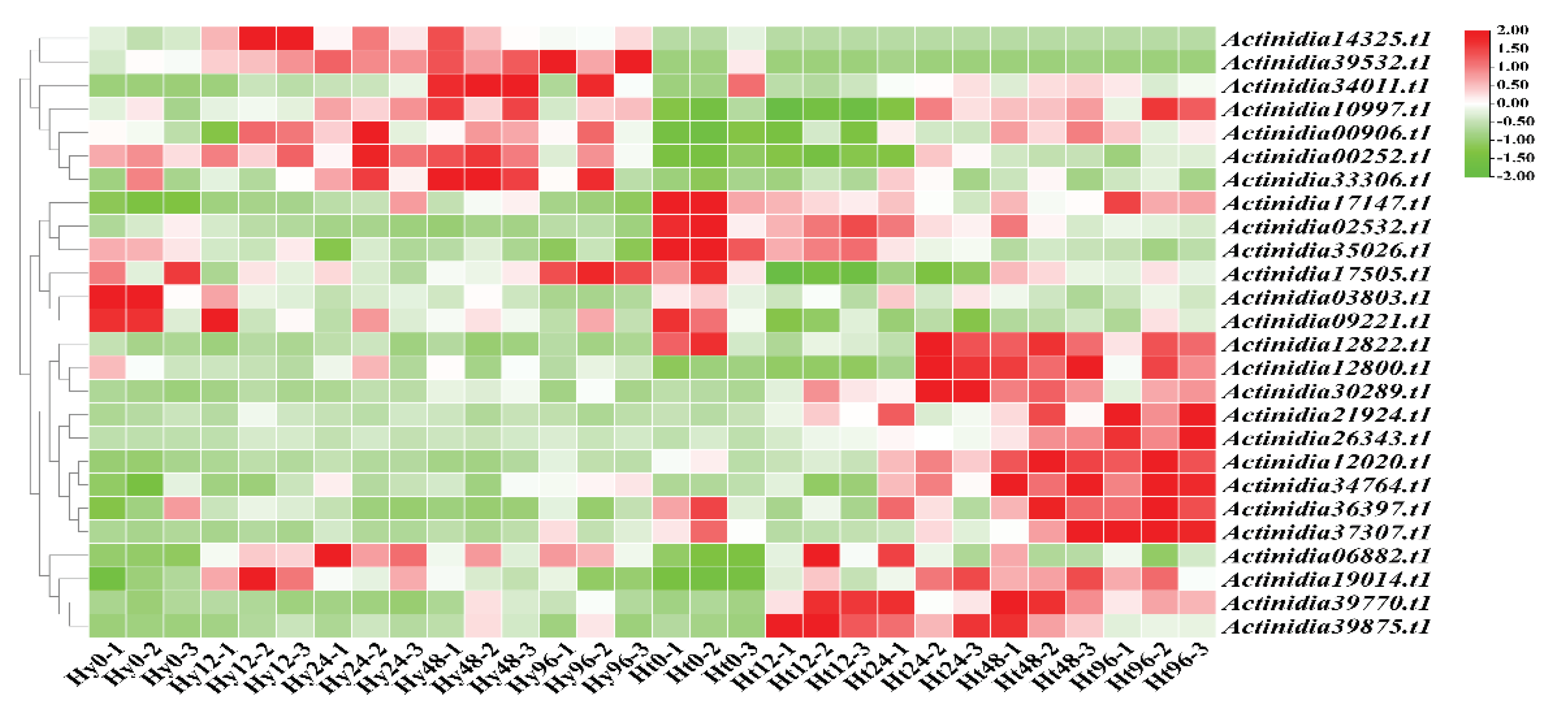 Preprints 101403 g003