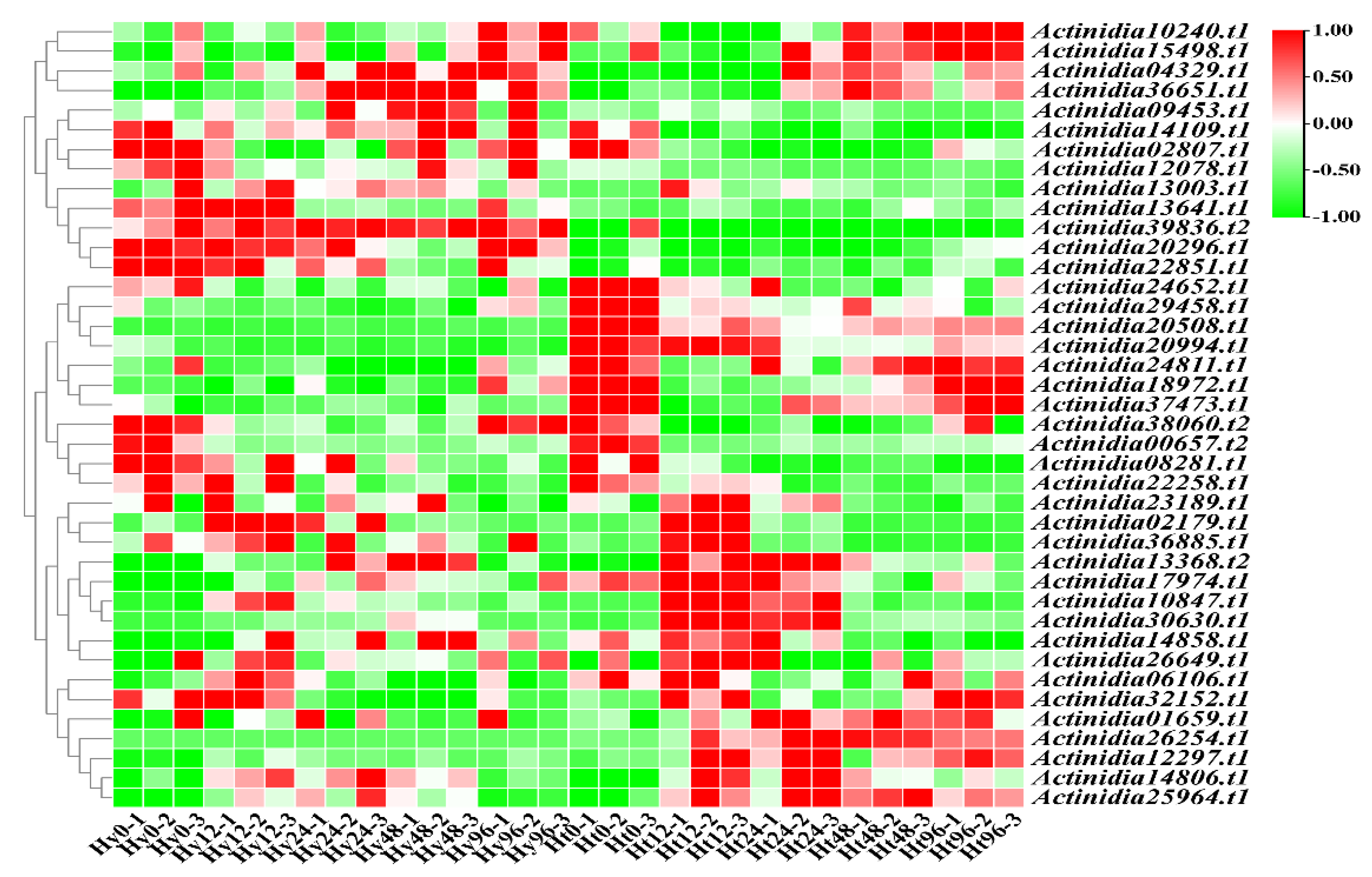 Preprints 101403 g006