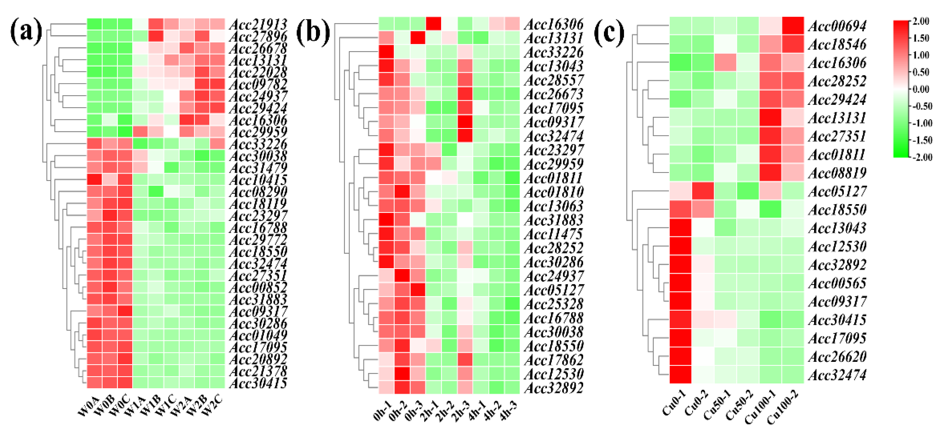 Preprints 101403 g008