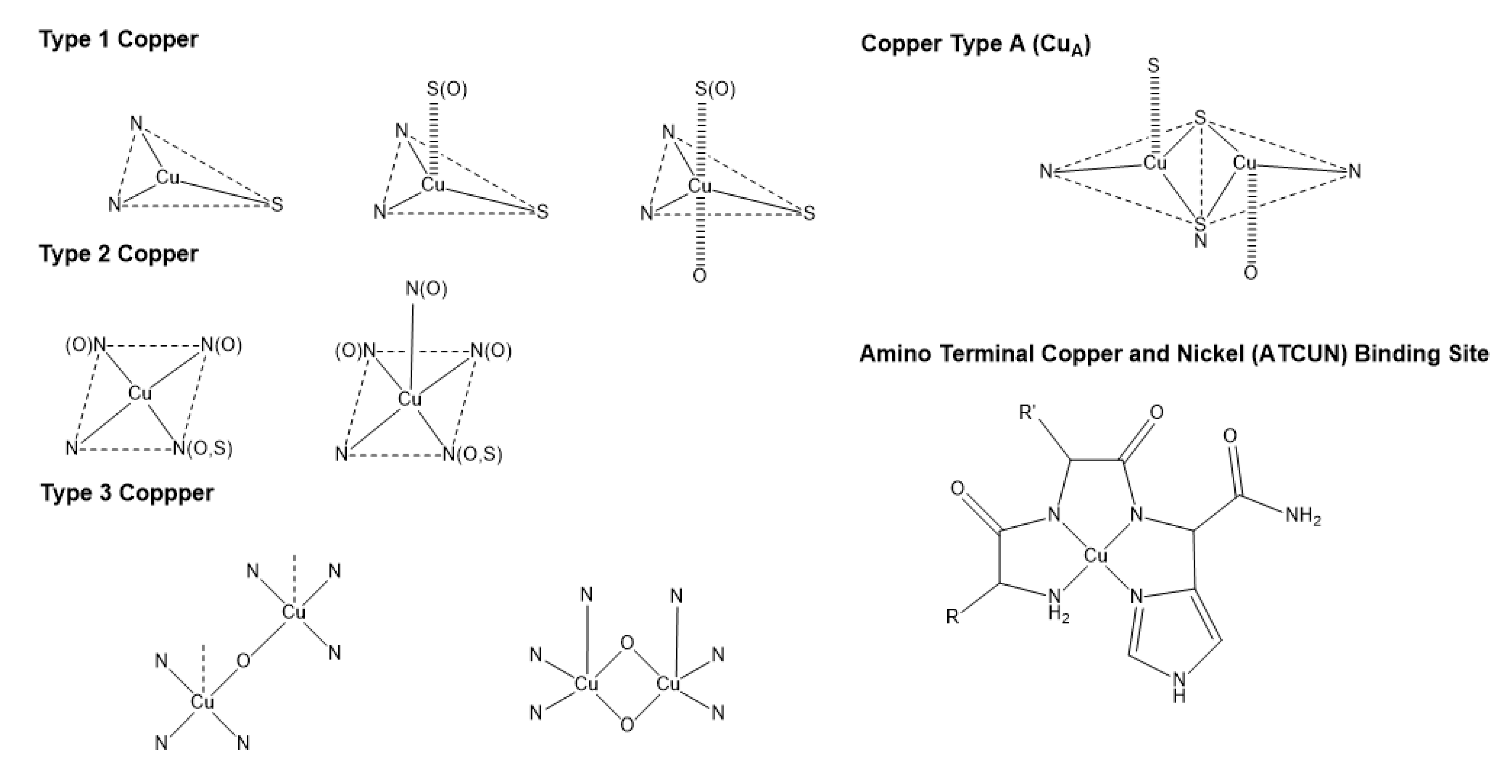 Preprints 74417 g001