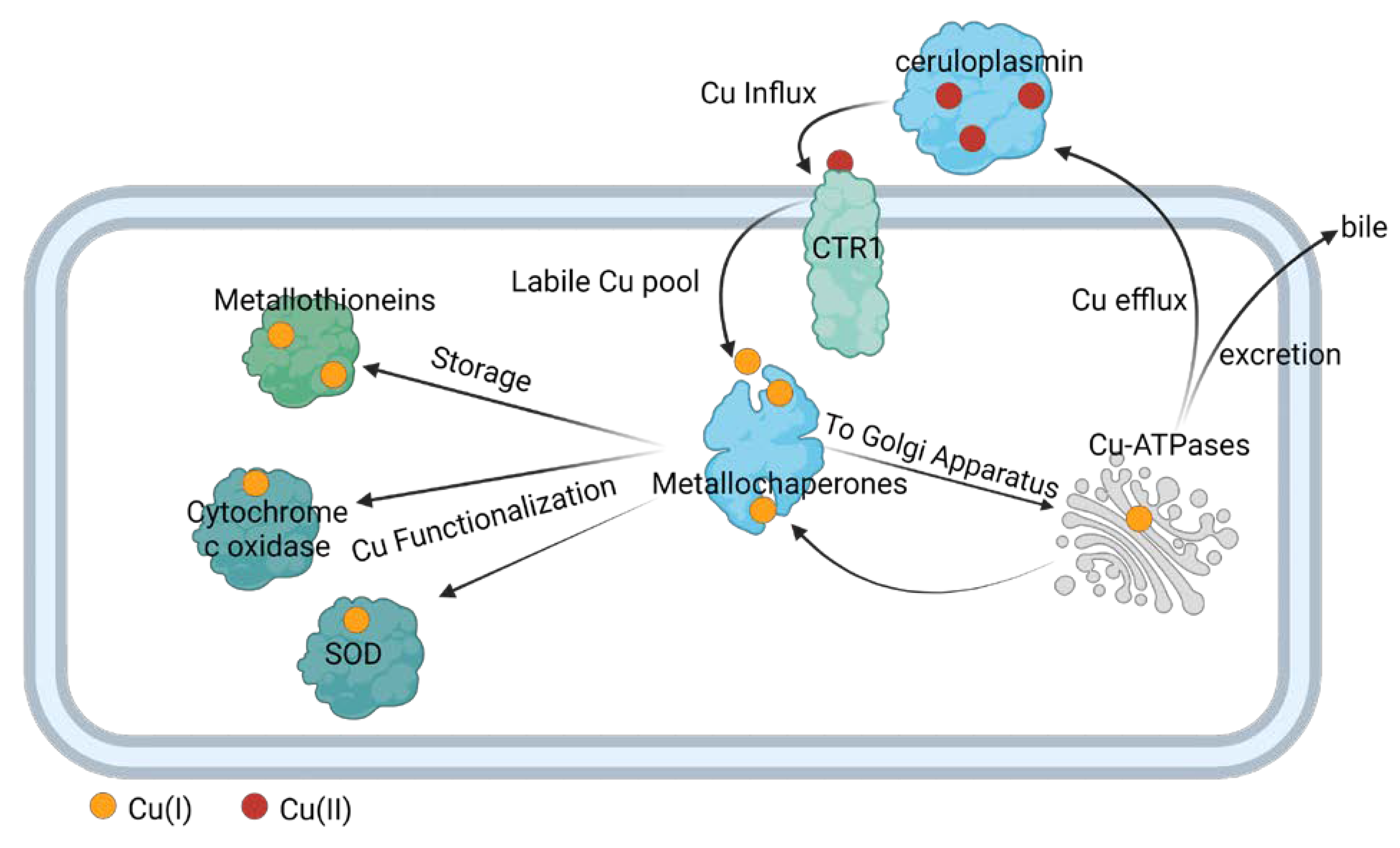 Preprints 74417 g002