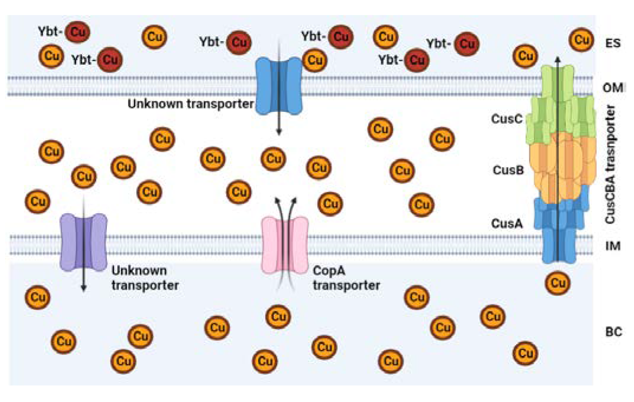 Preprints 74417 g004