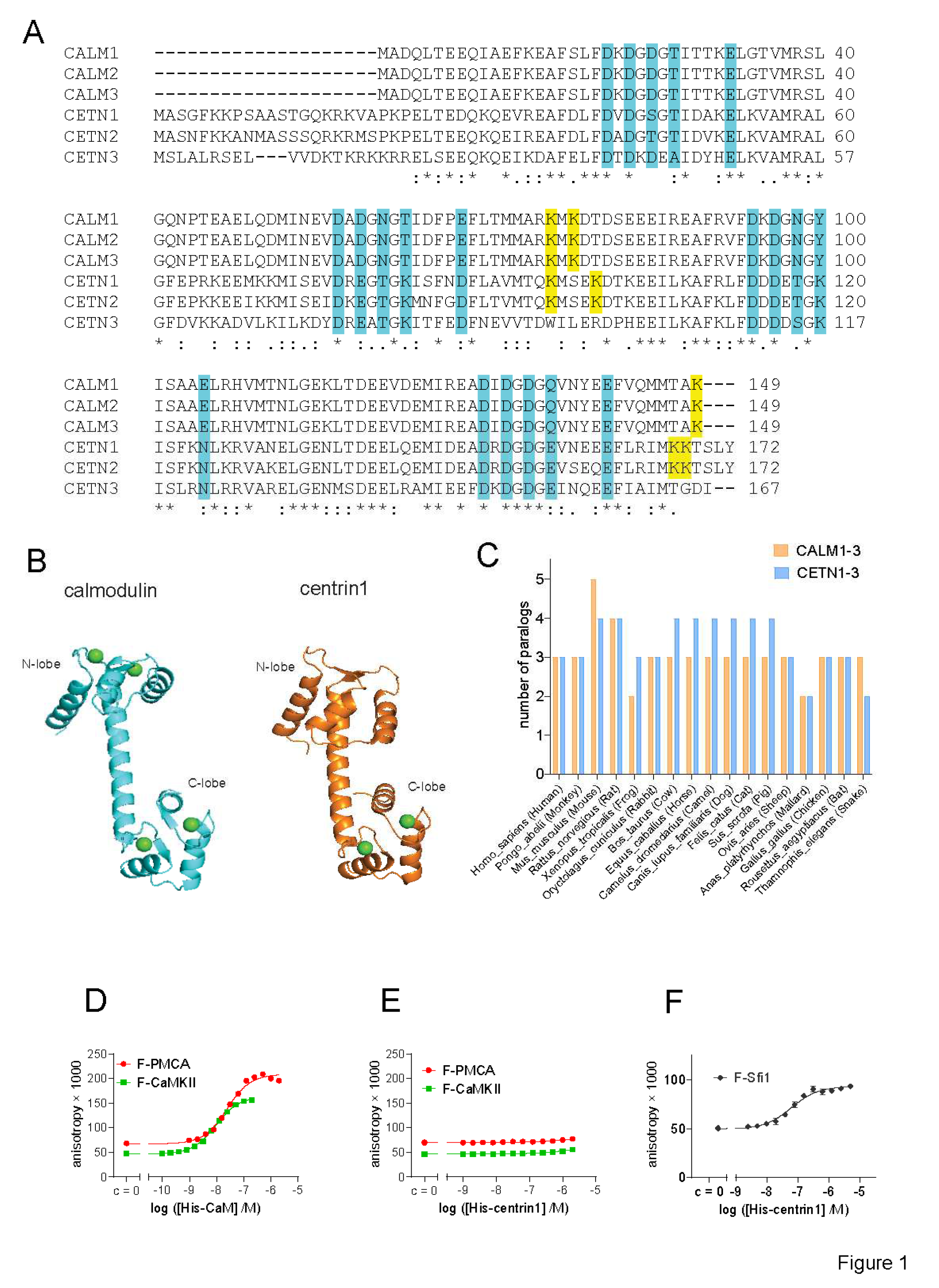 Preprints 72720 g001