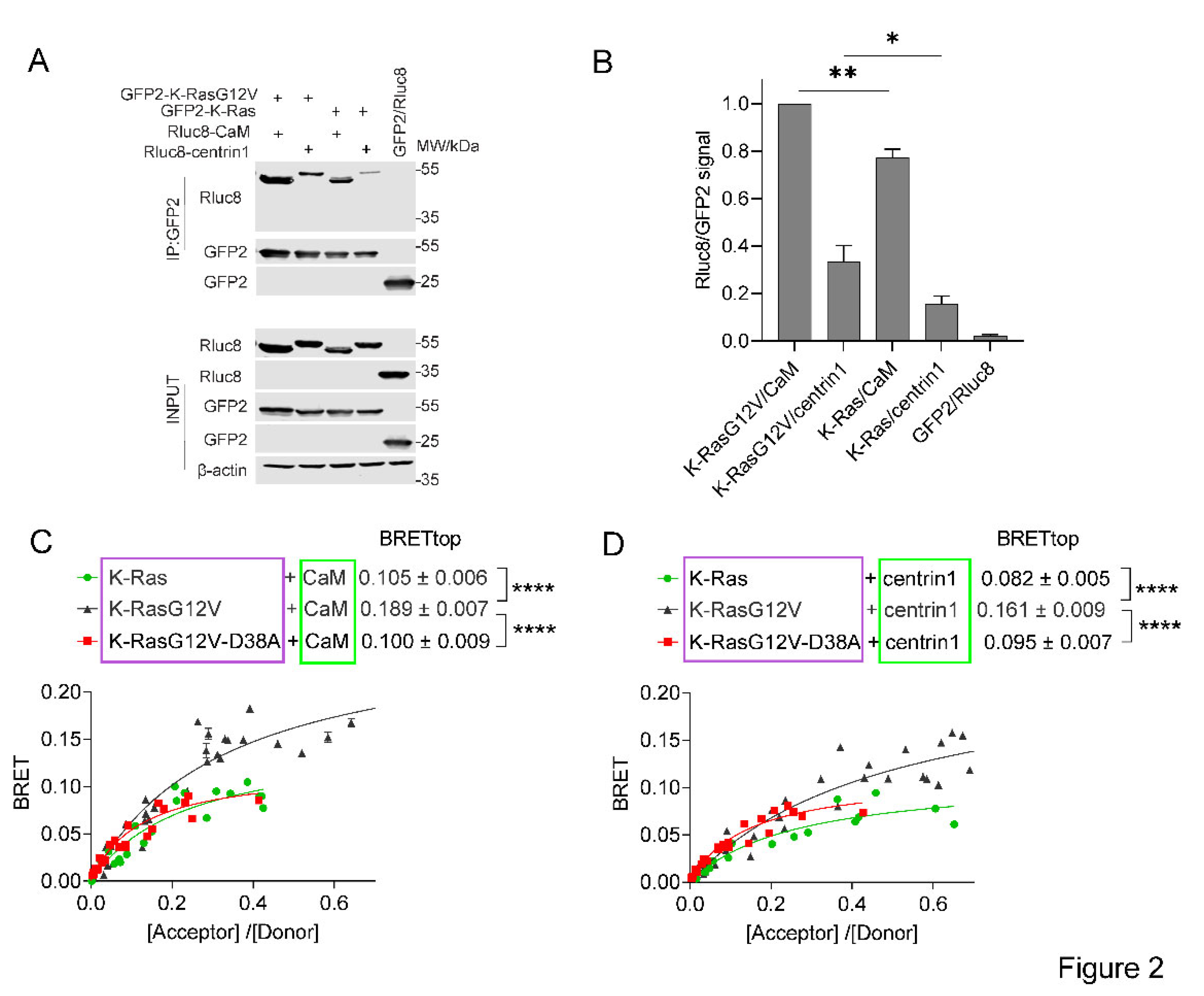 Preprints 72720 g002