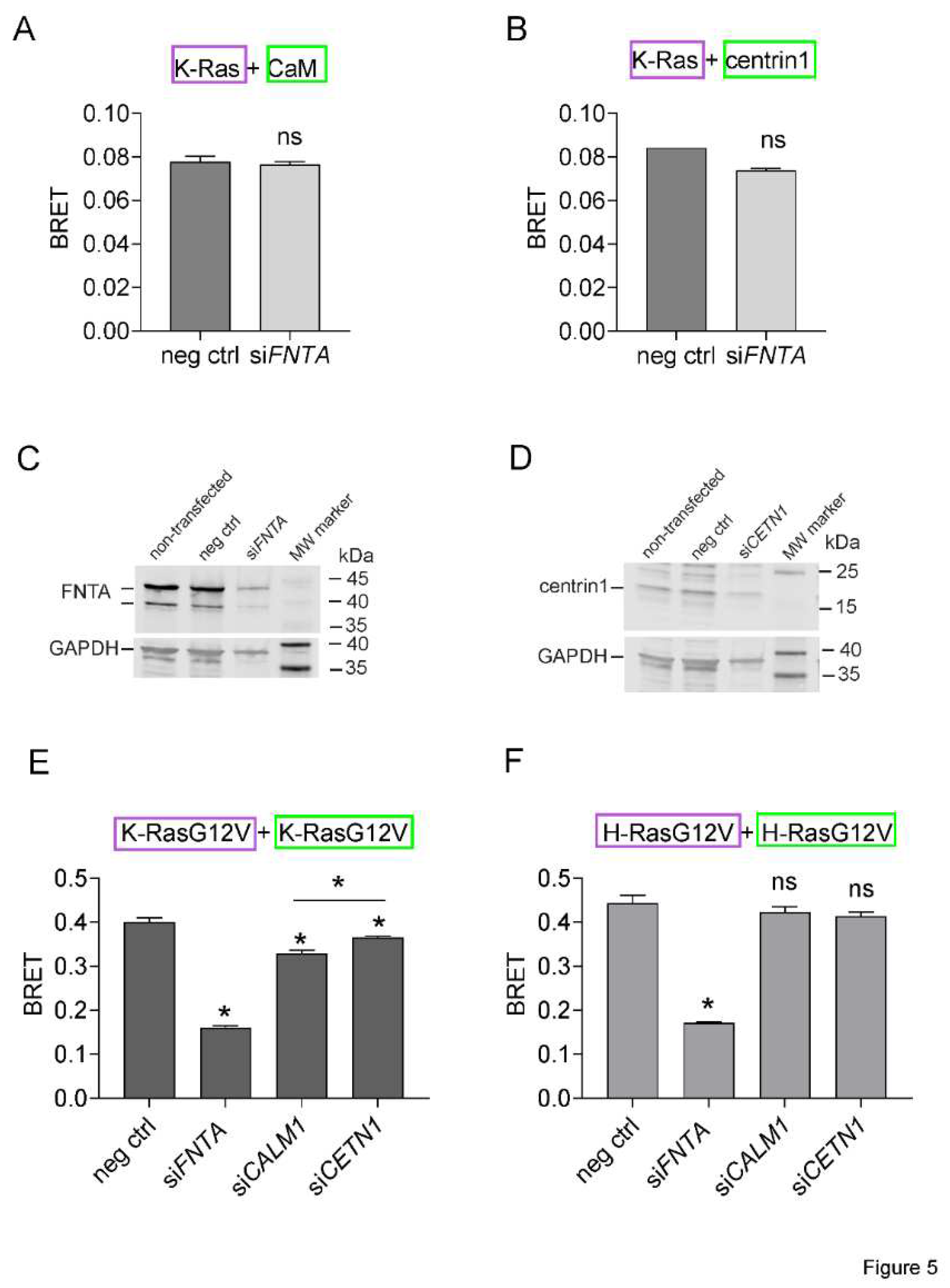 Preprints 72720 g005