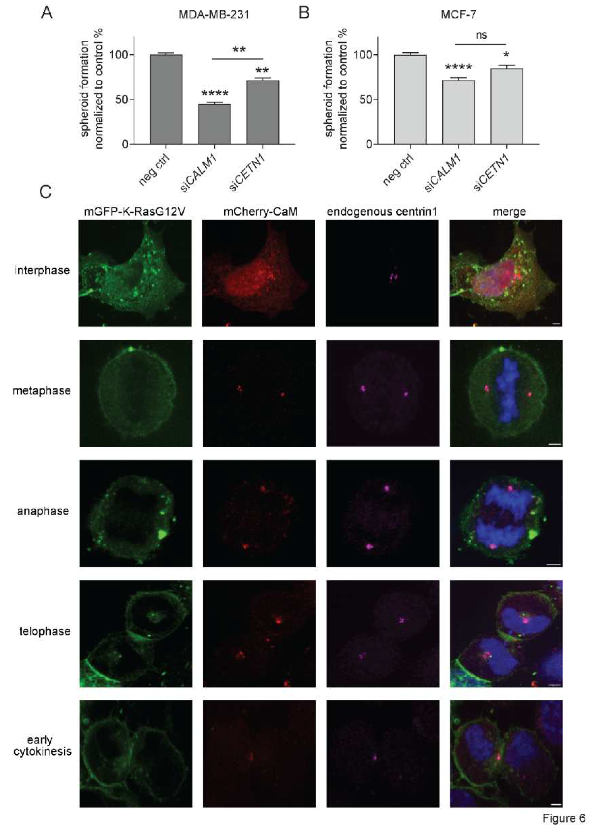 Preprints 72720 g006