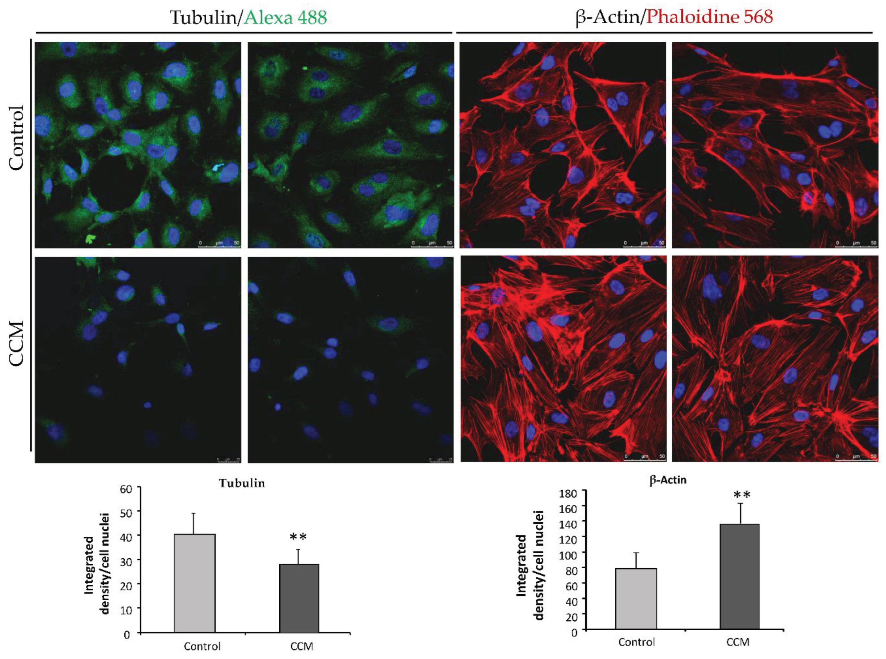 Preprints 99991 g004