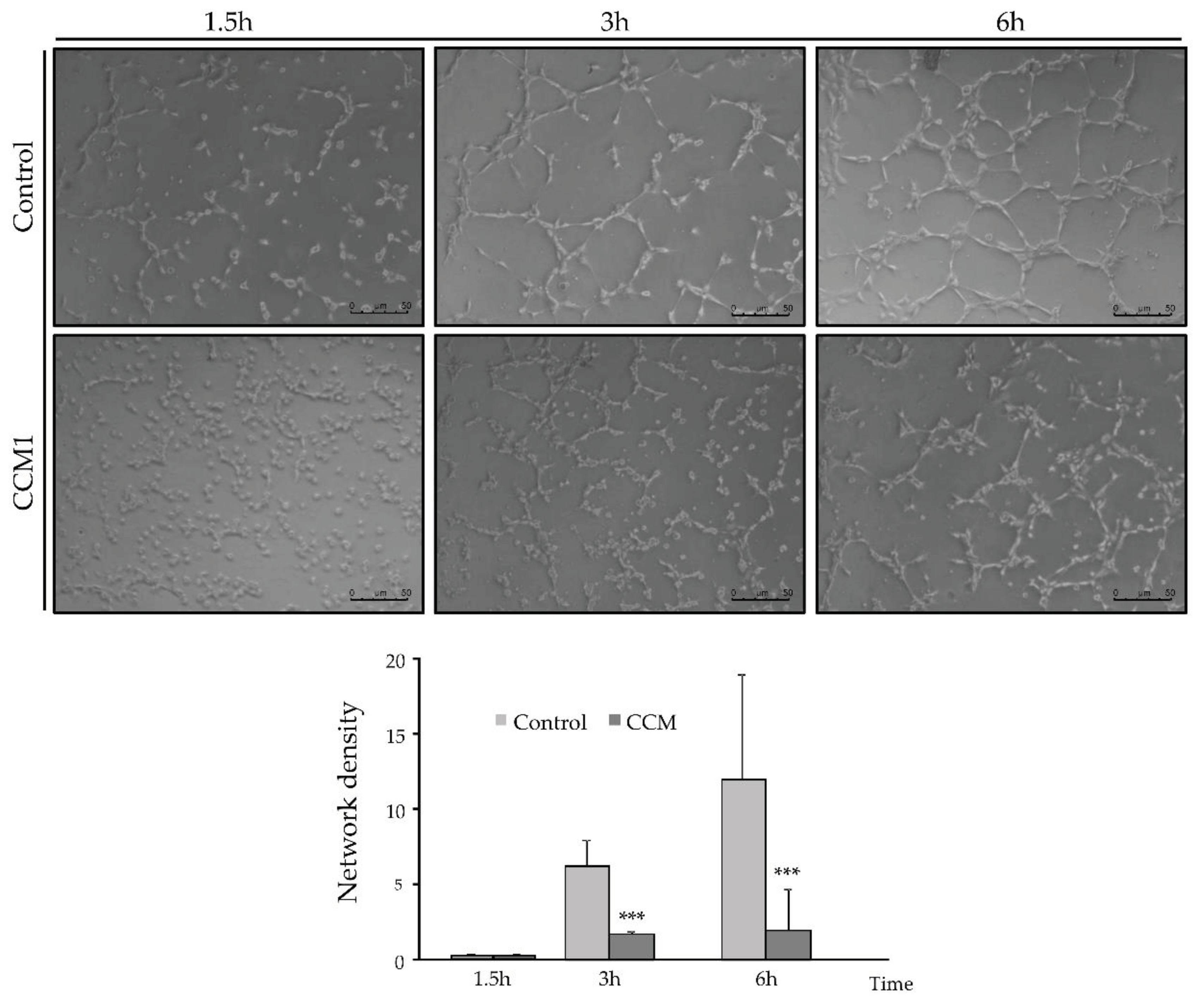 Preprints 99991 g005