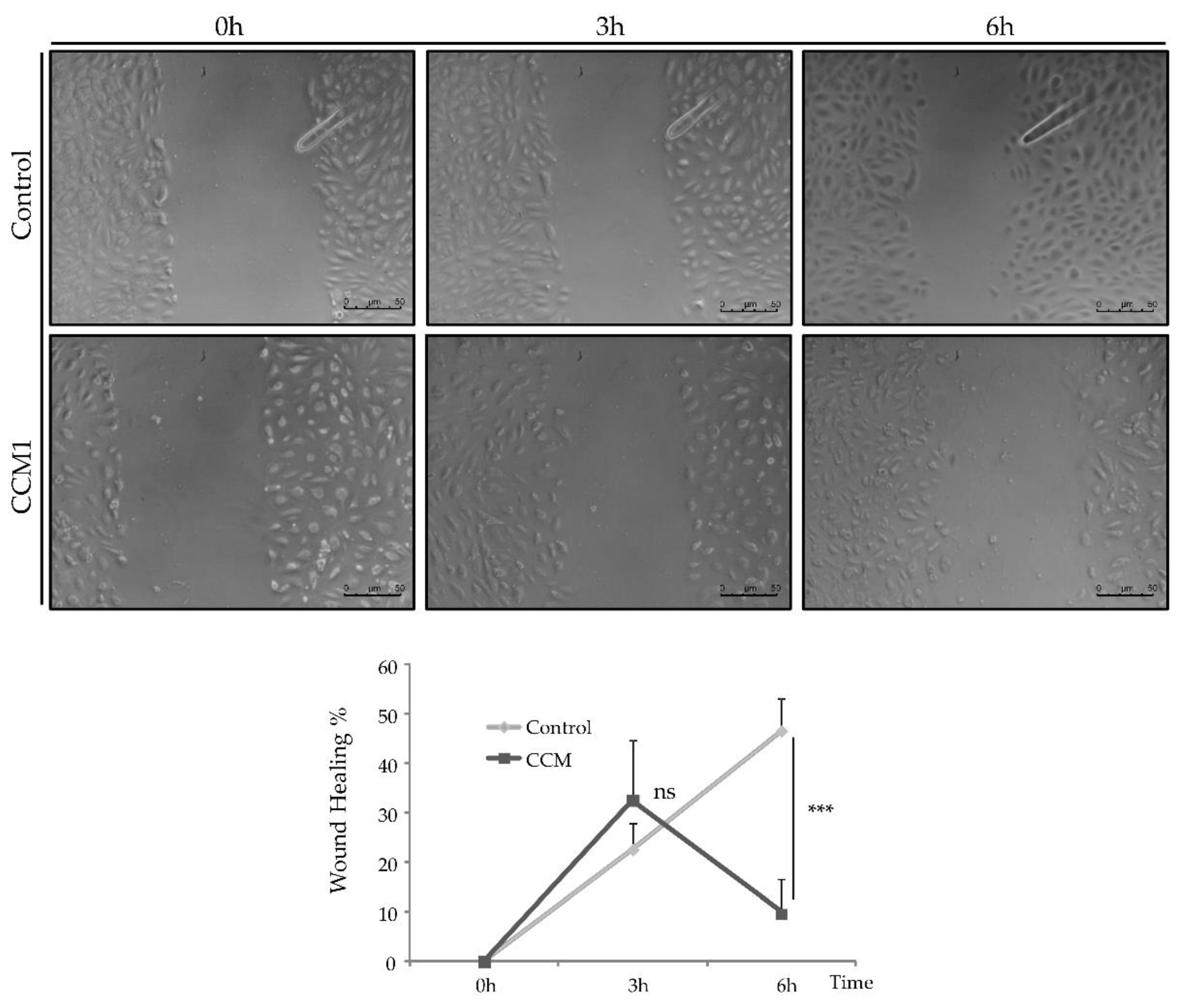 Preprints 99991 g006