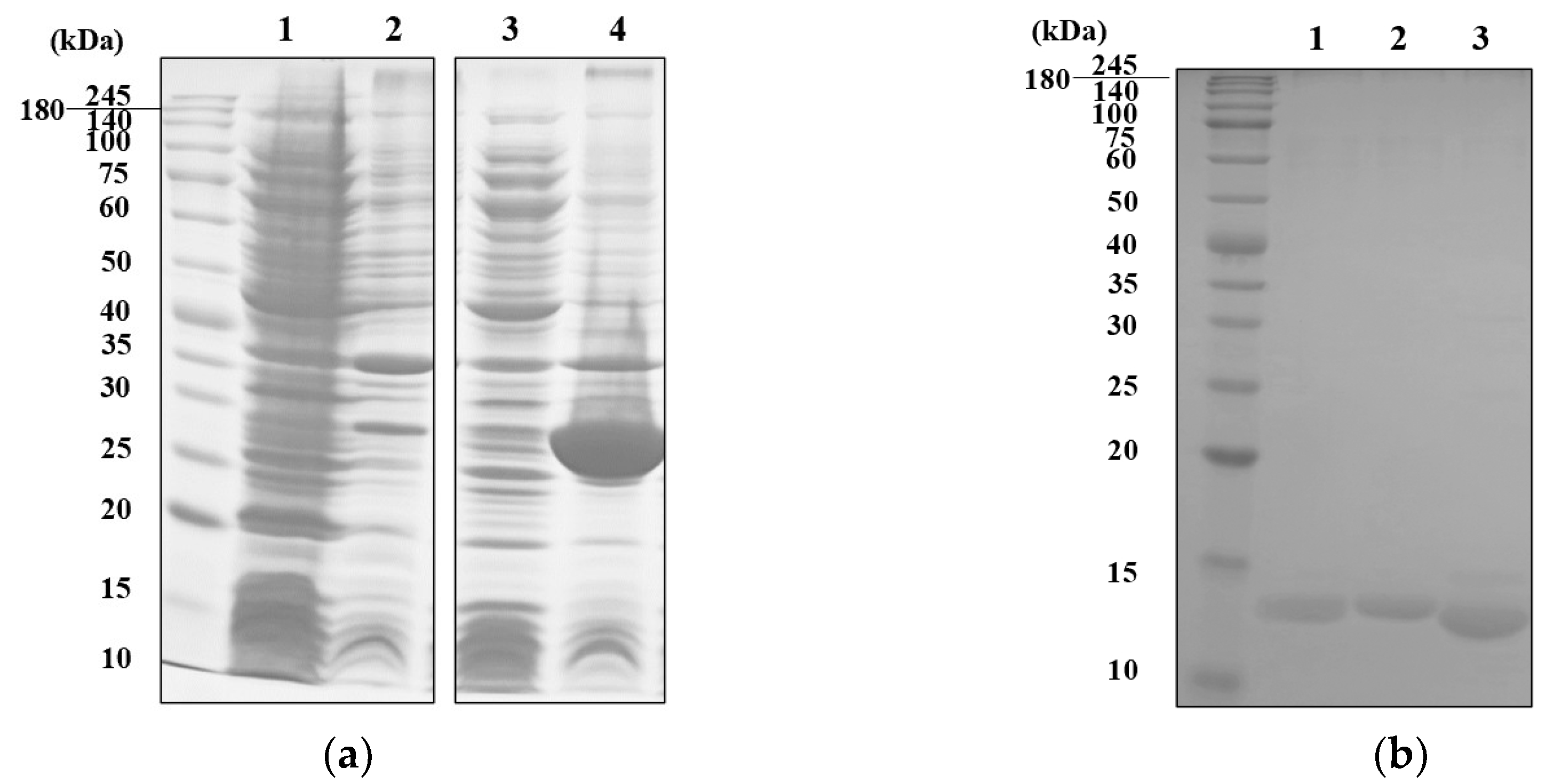 Preprints 107356 g001