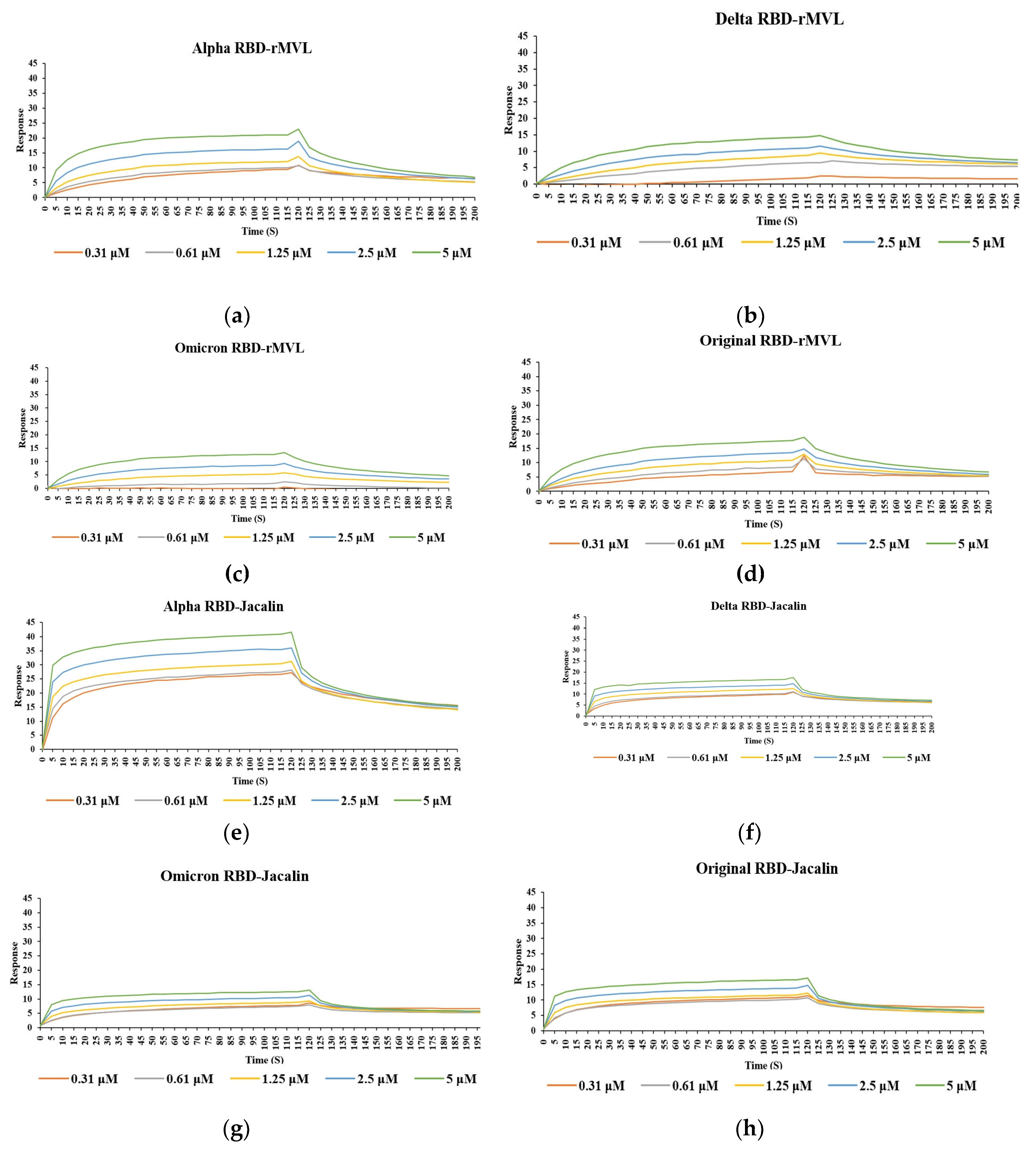 Preprints 107356 g002