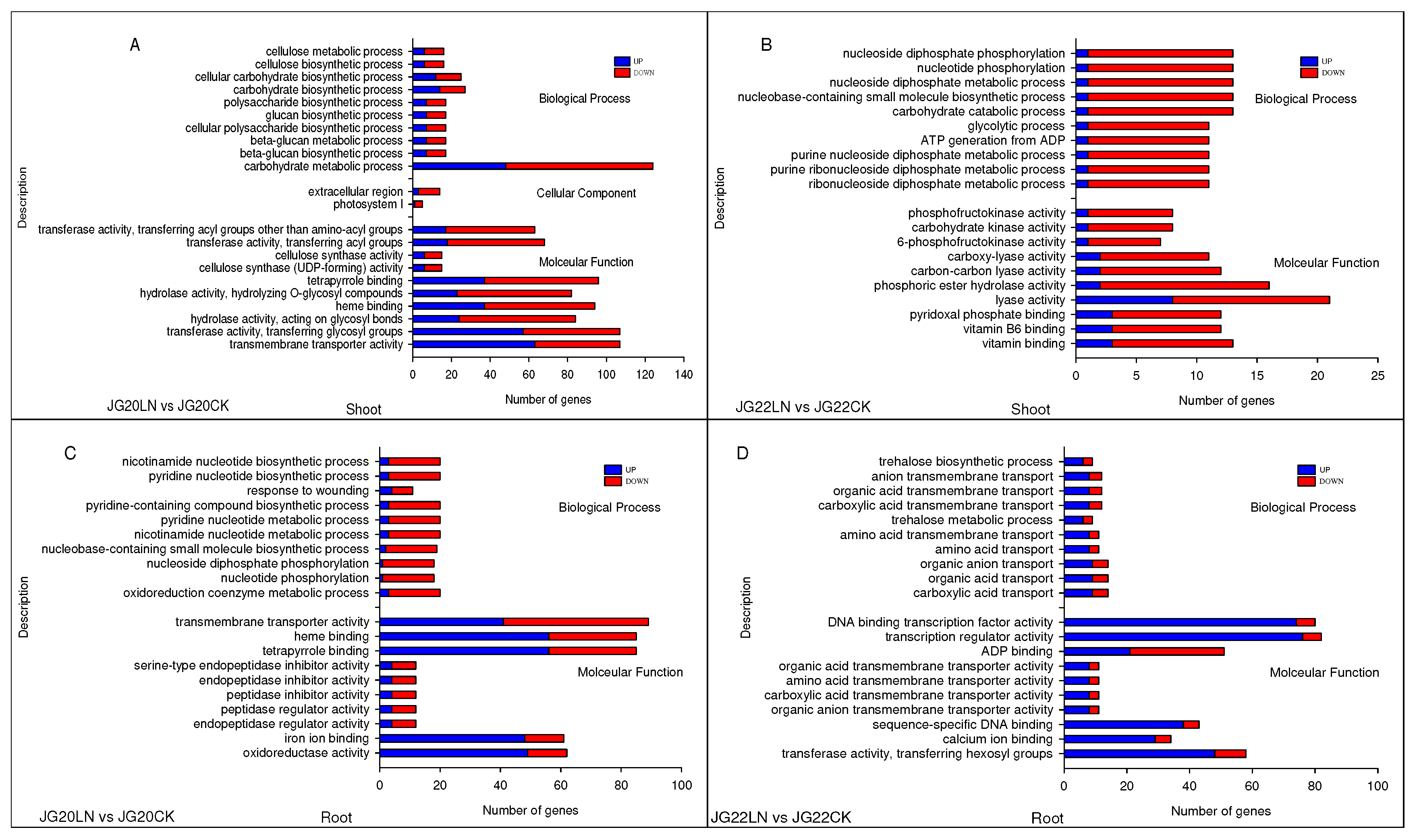 Preprints 73016 g007