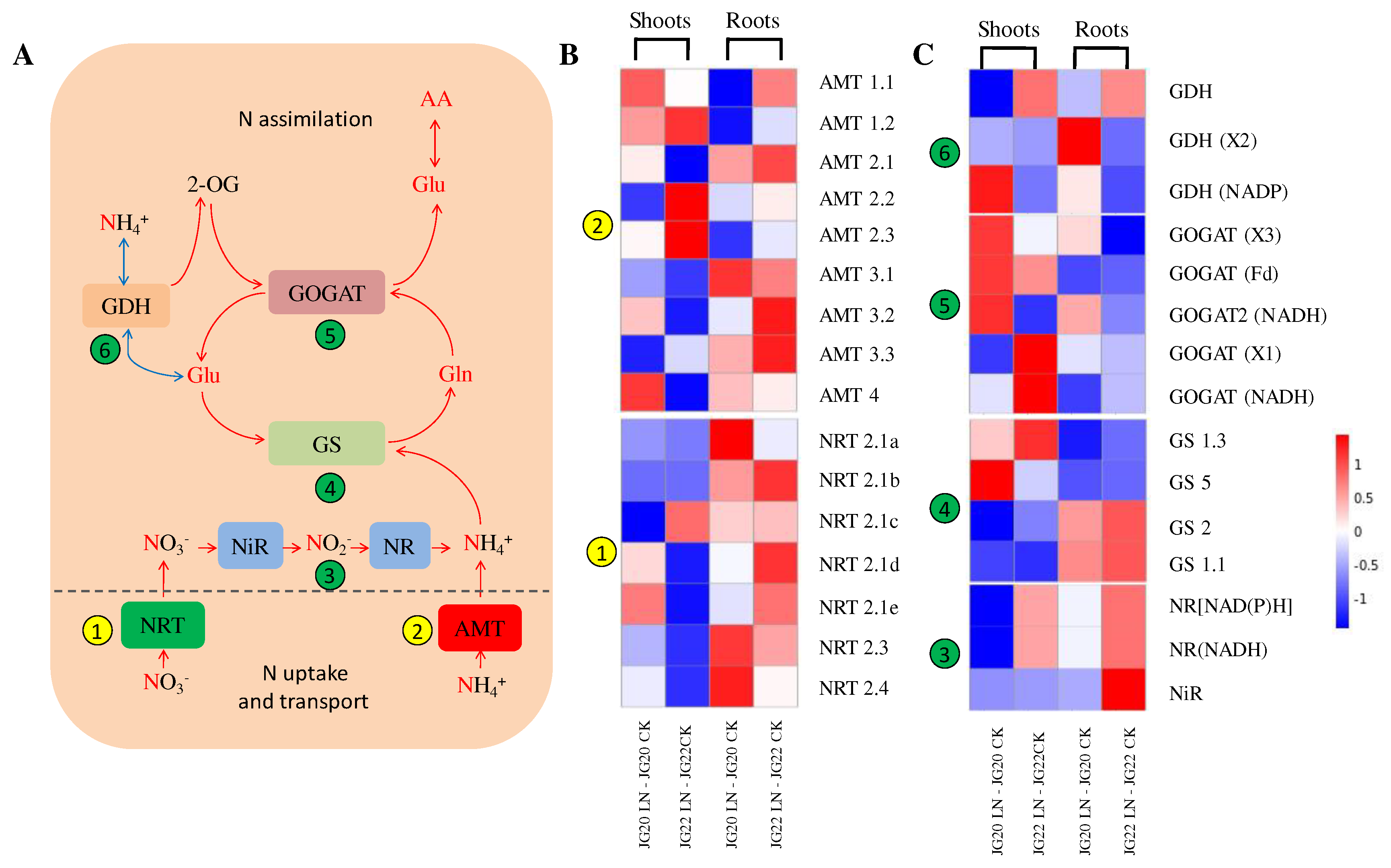 Preprints 73016 g009