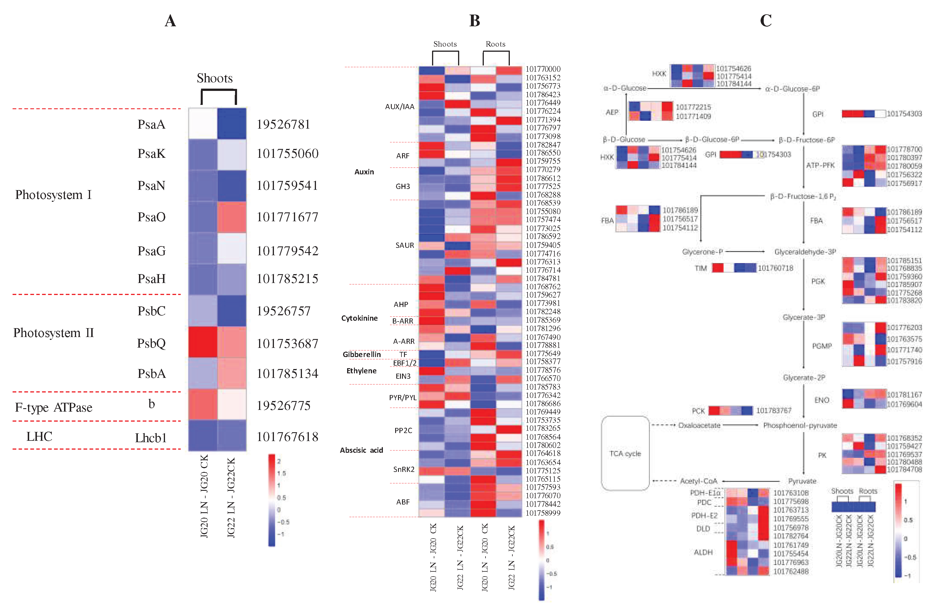 Preprints 73016 g010