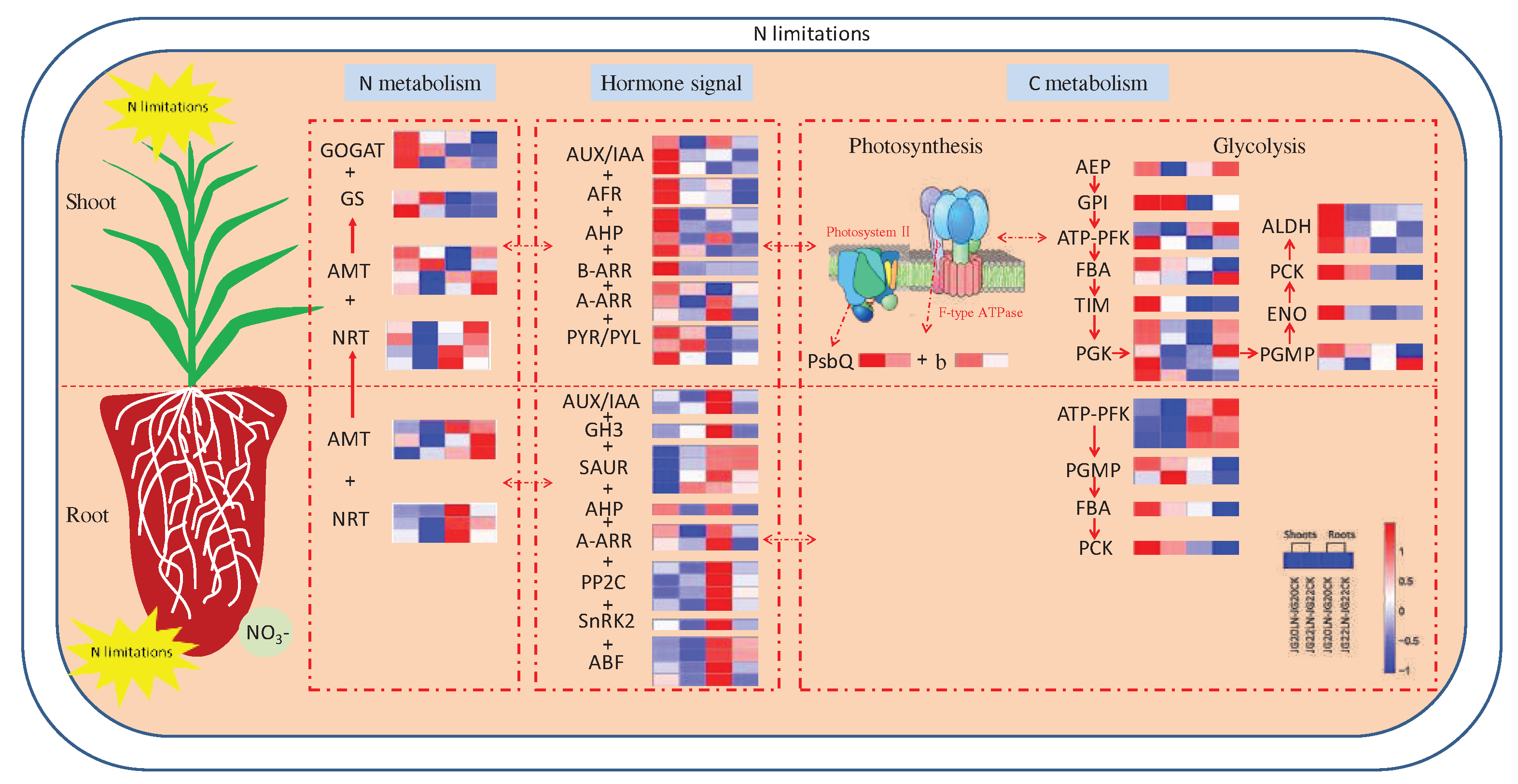 Preprints 73016 g011