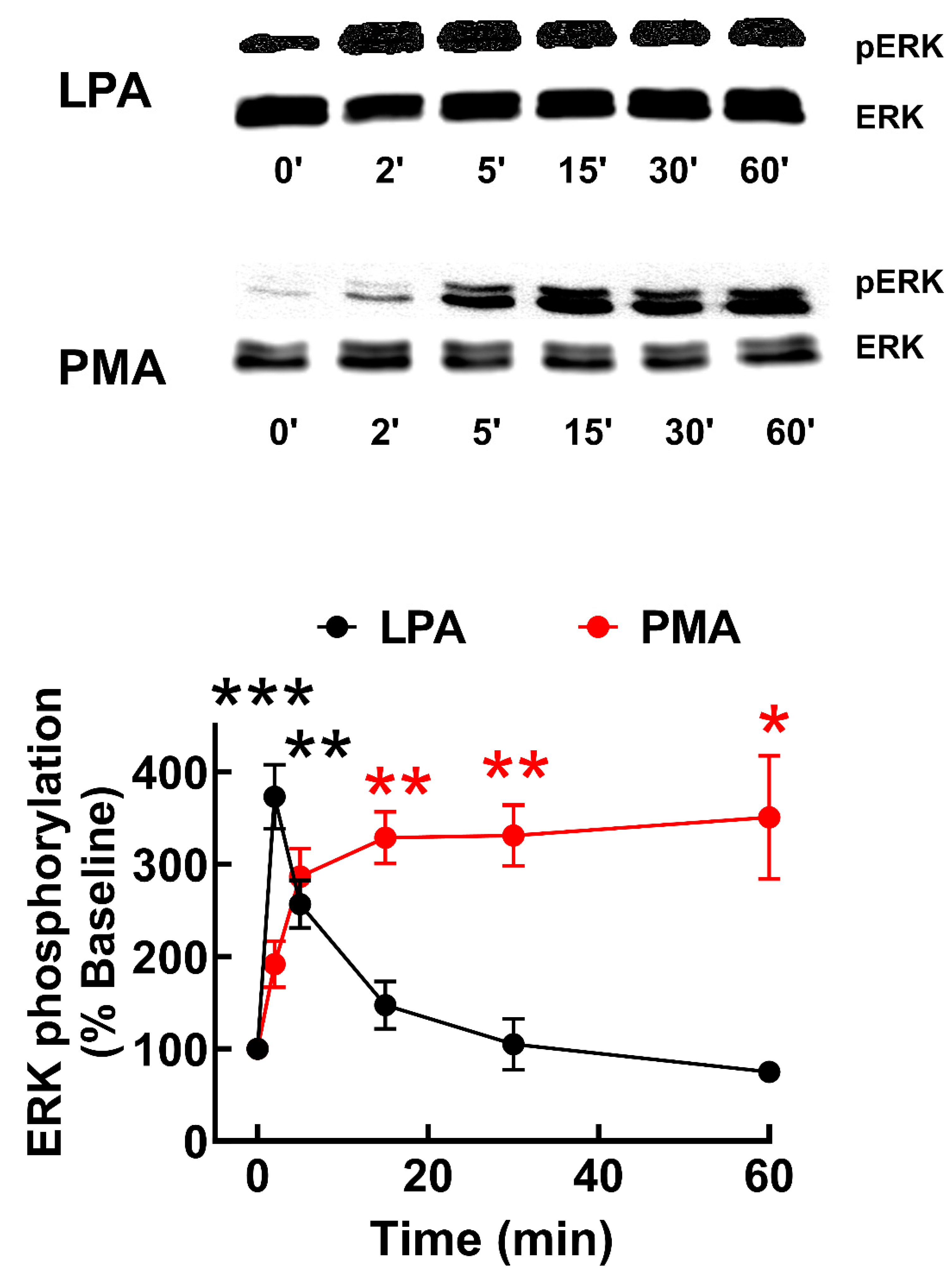 Preprints 103246 g002