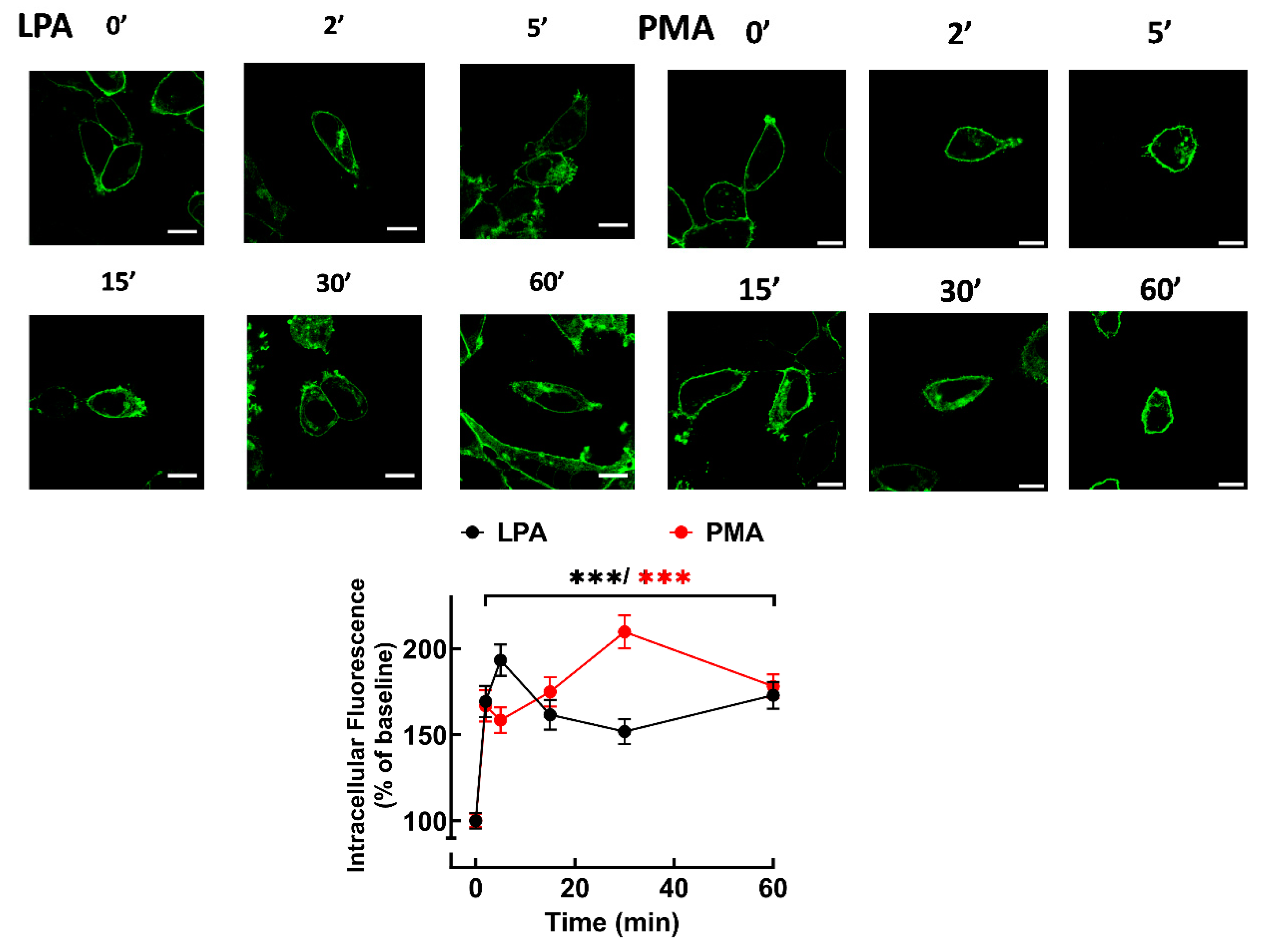 Preprints 103246 g003