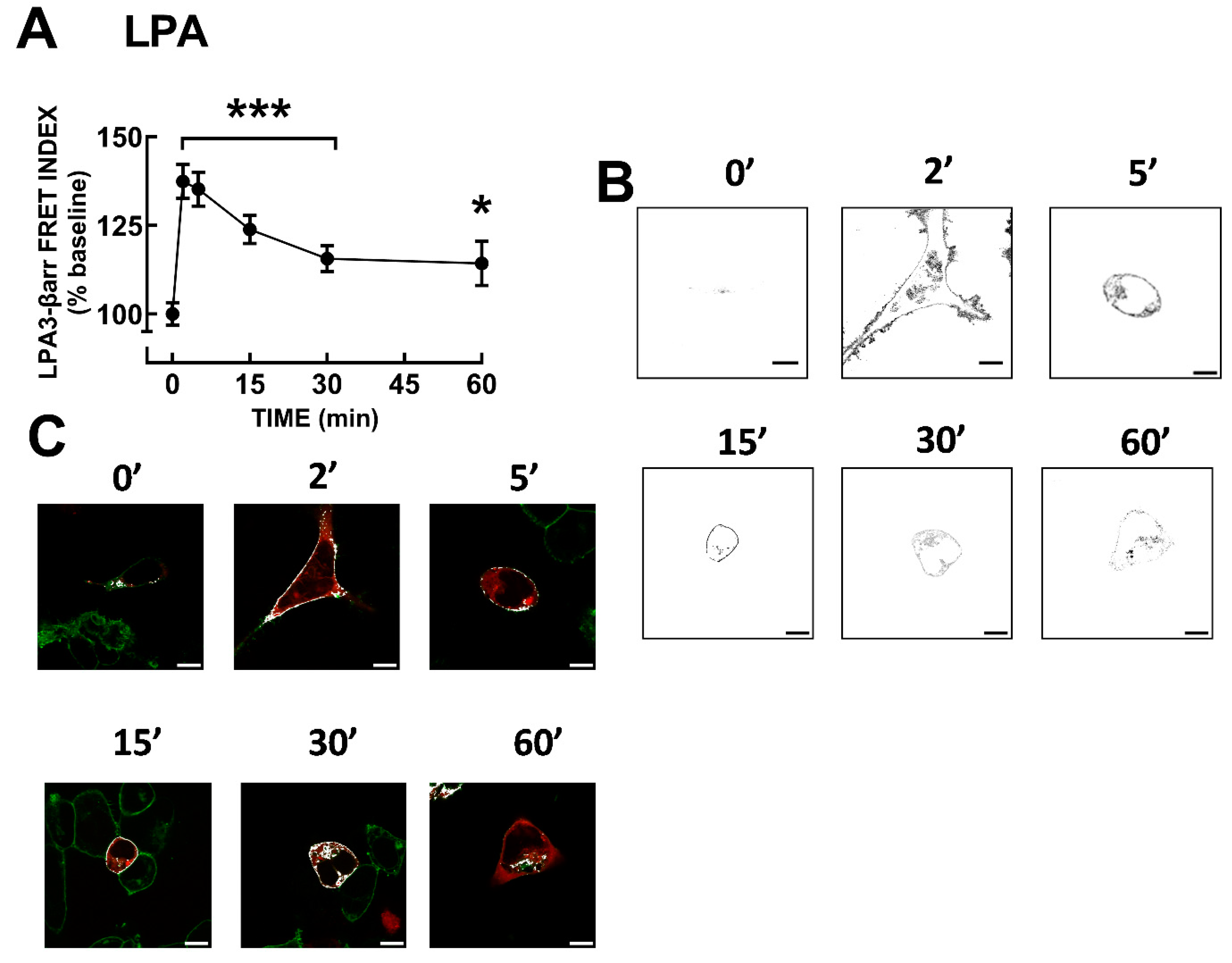 Preprints 103246 g004