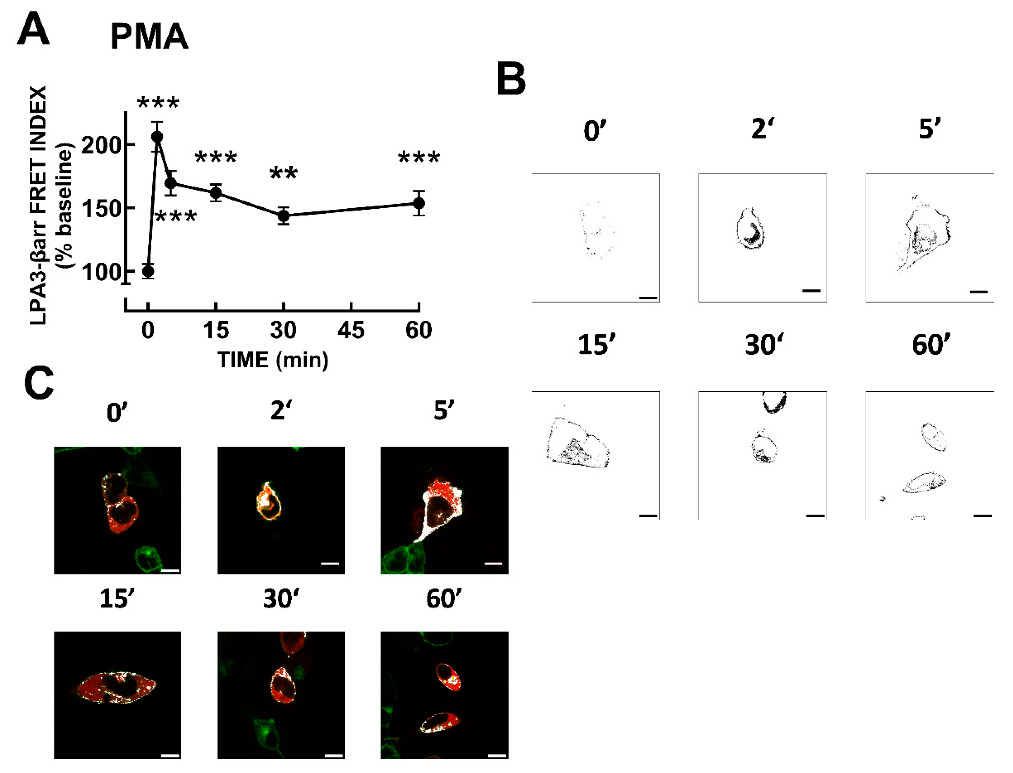 Preprints 103246 g005