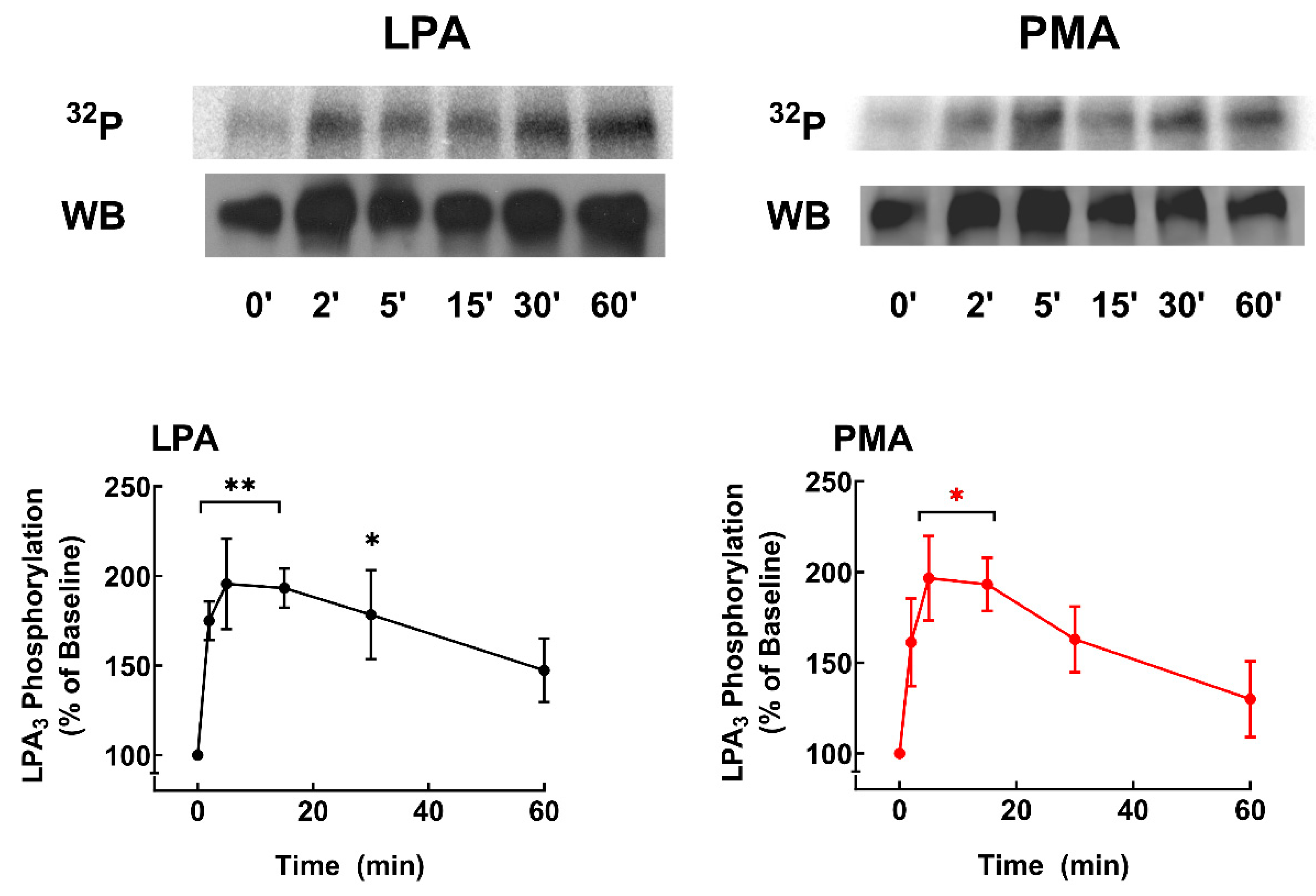 Preprints 103246 g006