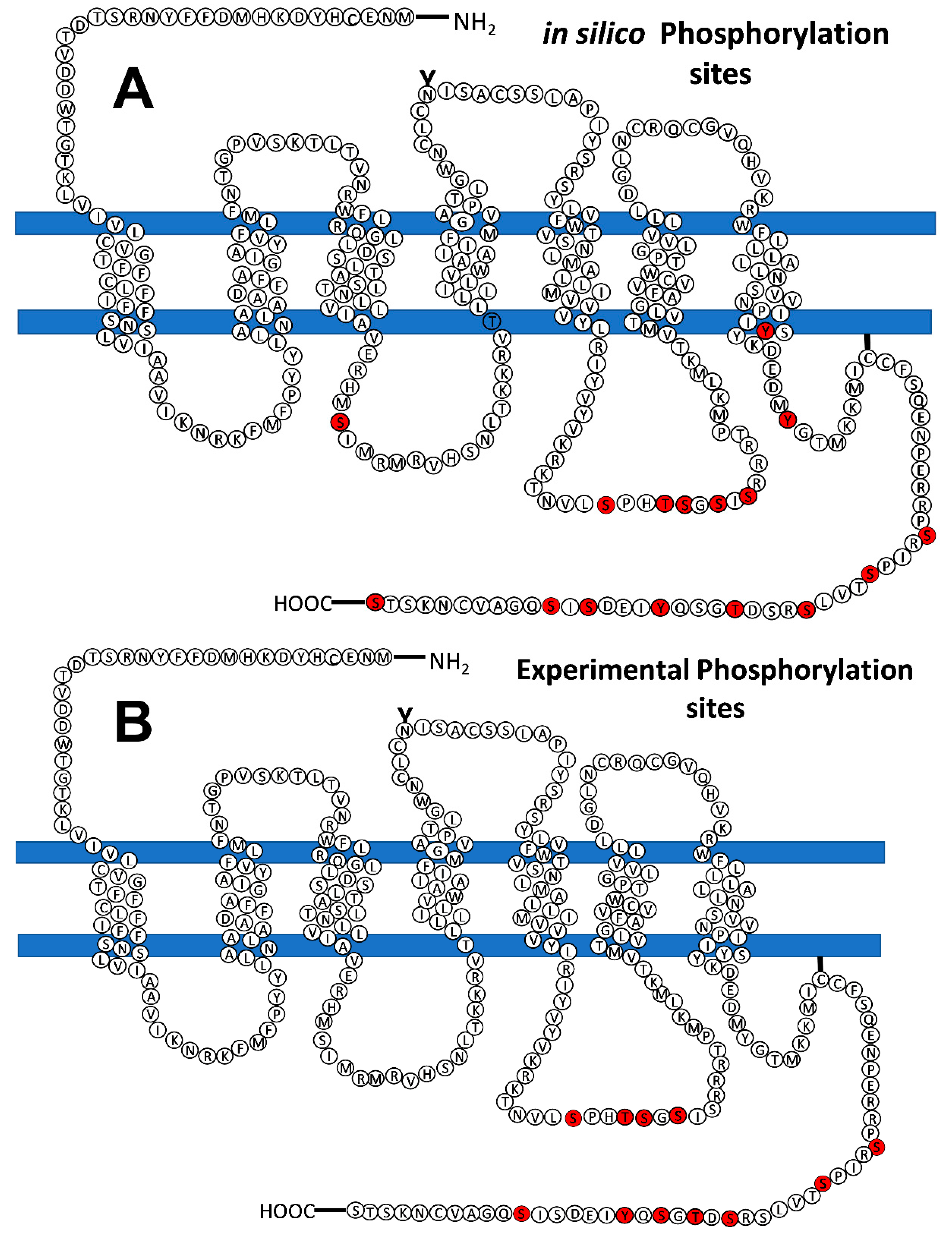 Preprints 103246 g007