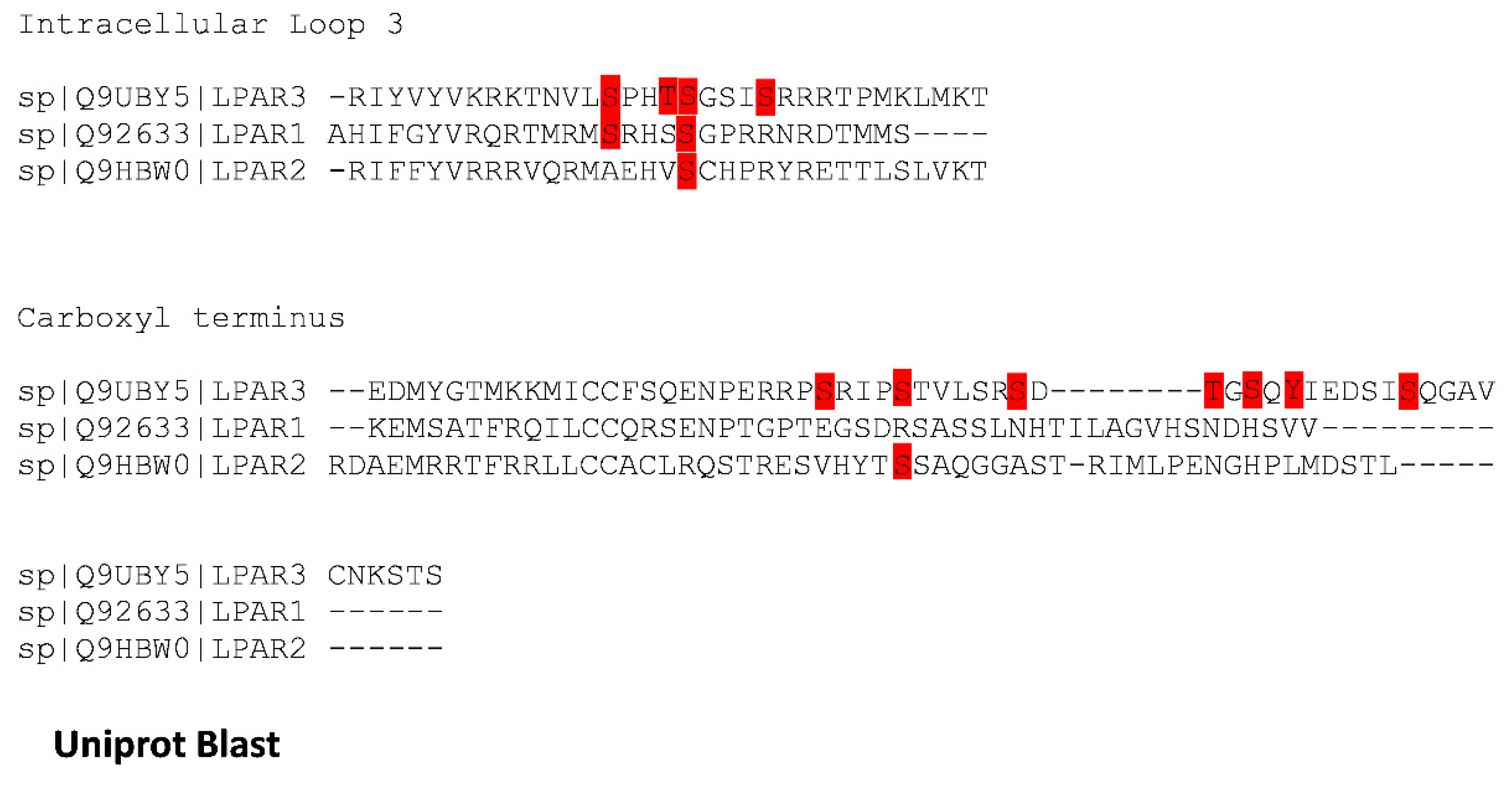 Preprints 103246 g008