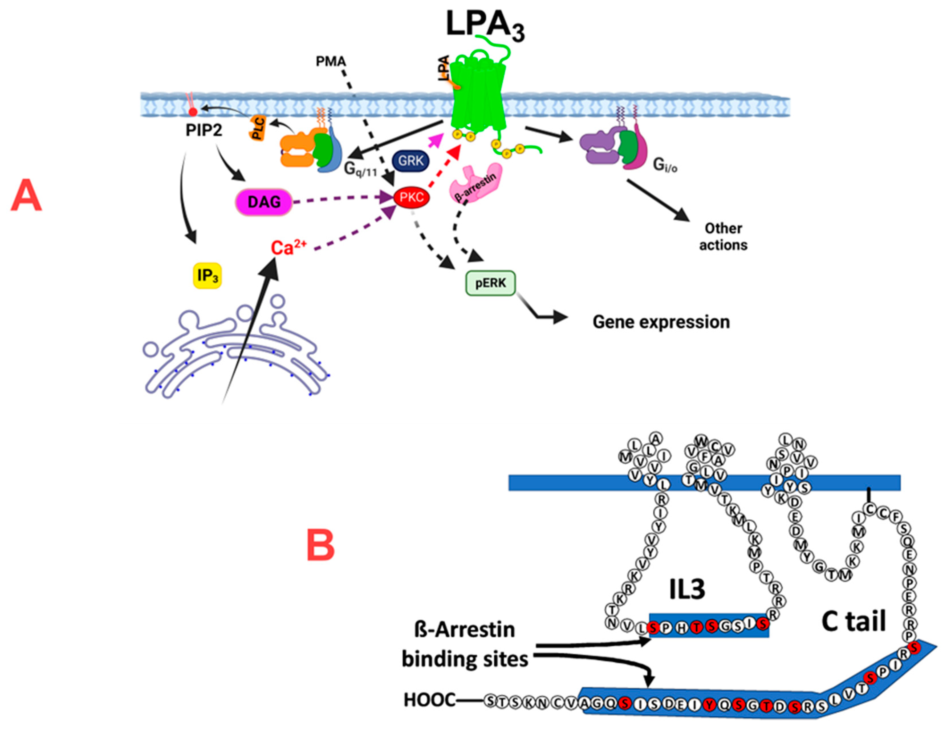 Preprints 103246 g010