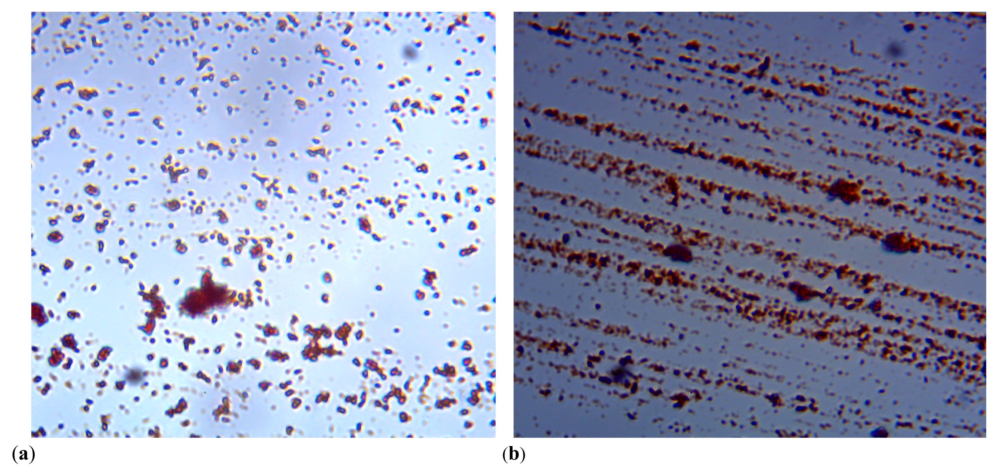 Preprints 109739 g0a4