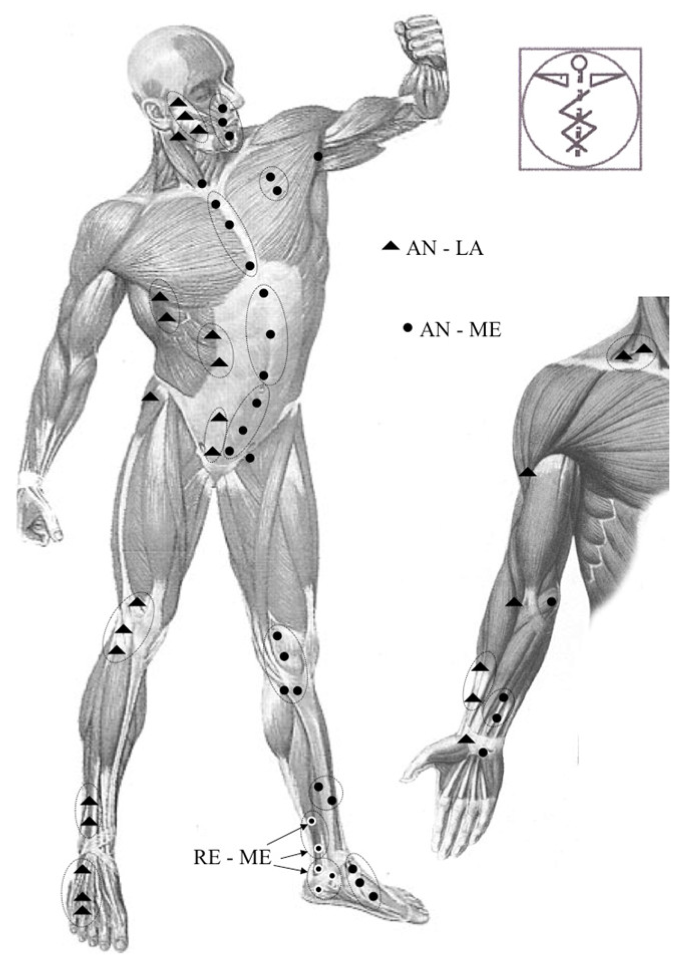 Preprints 73305 g0a1