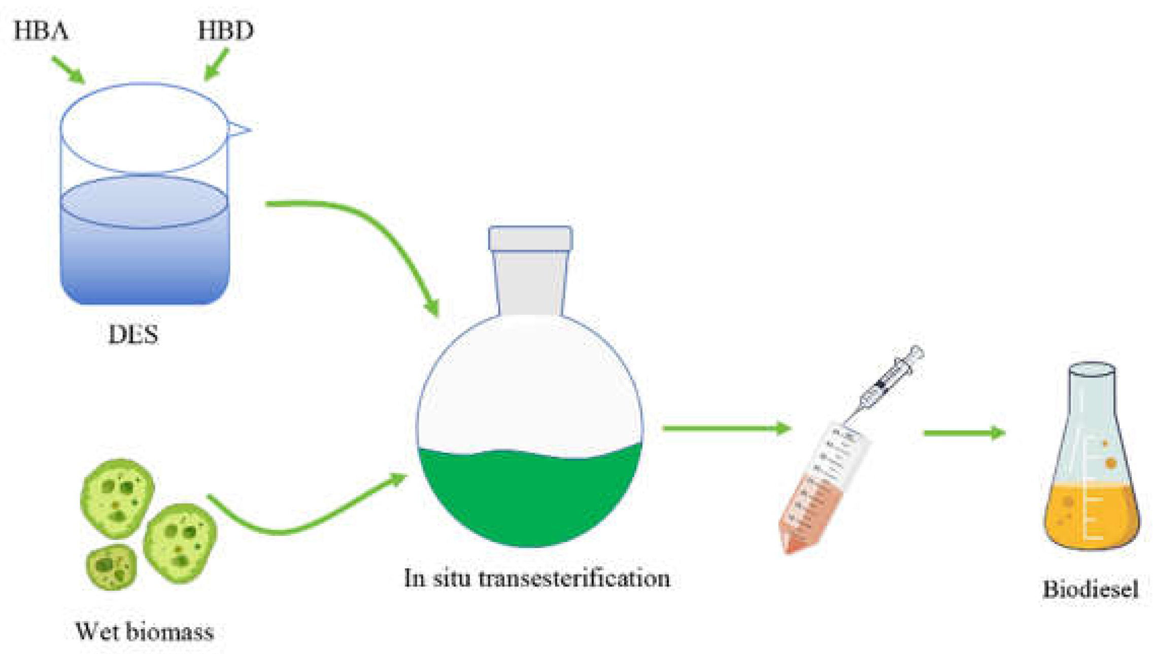 Preprints 116991 g003