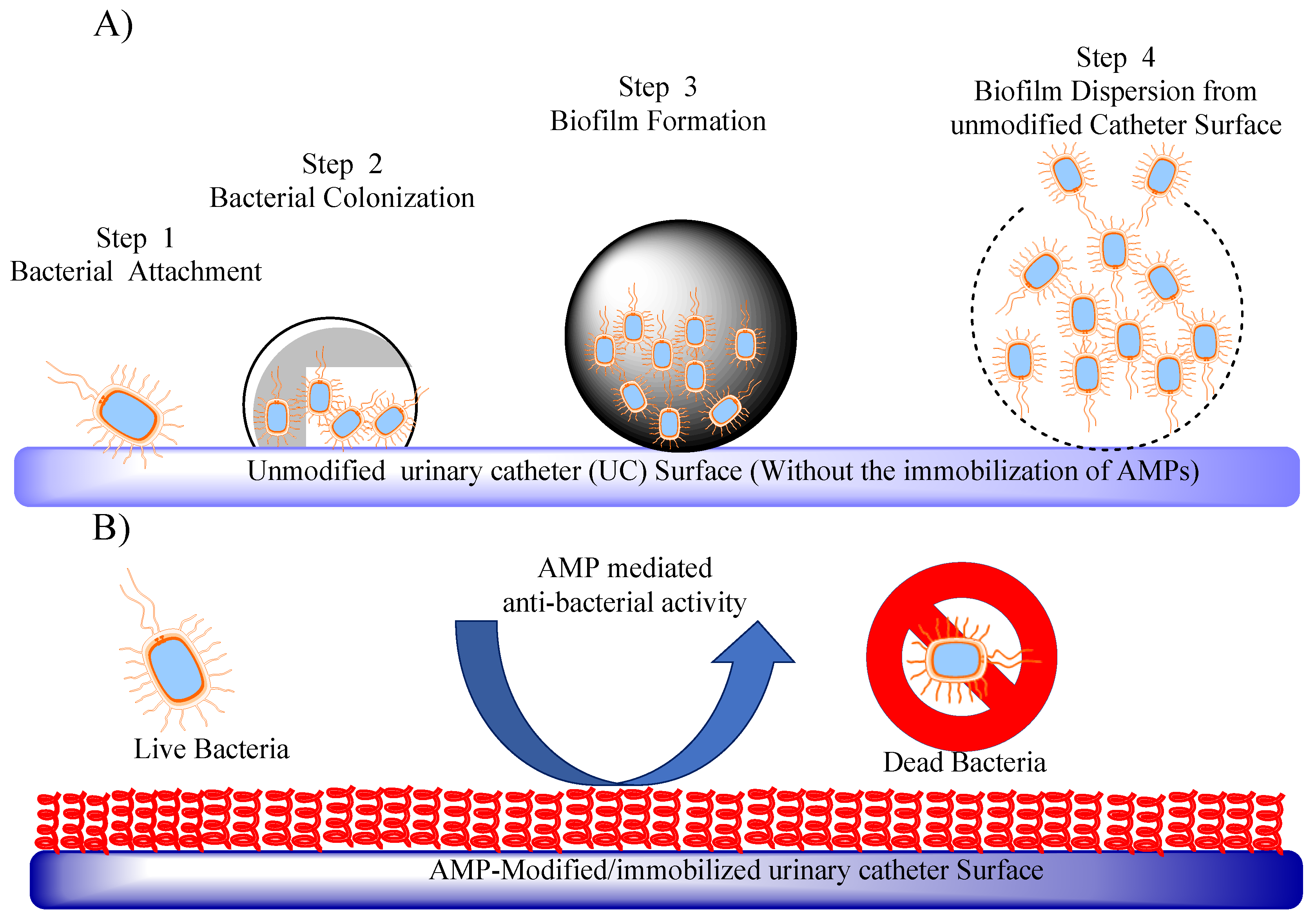 Preprints 86199 g005