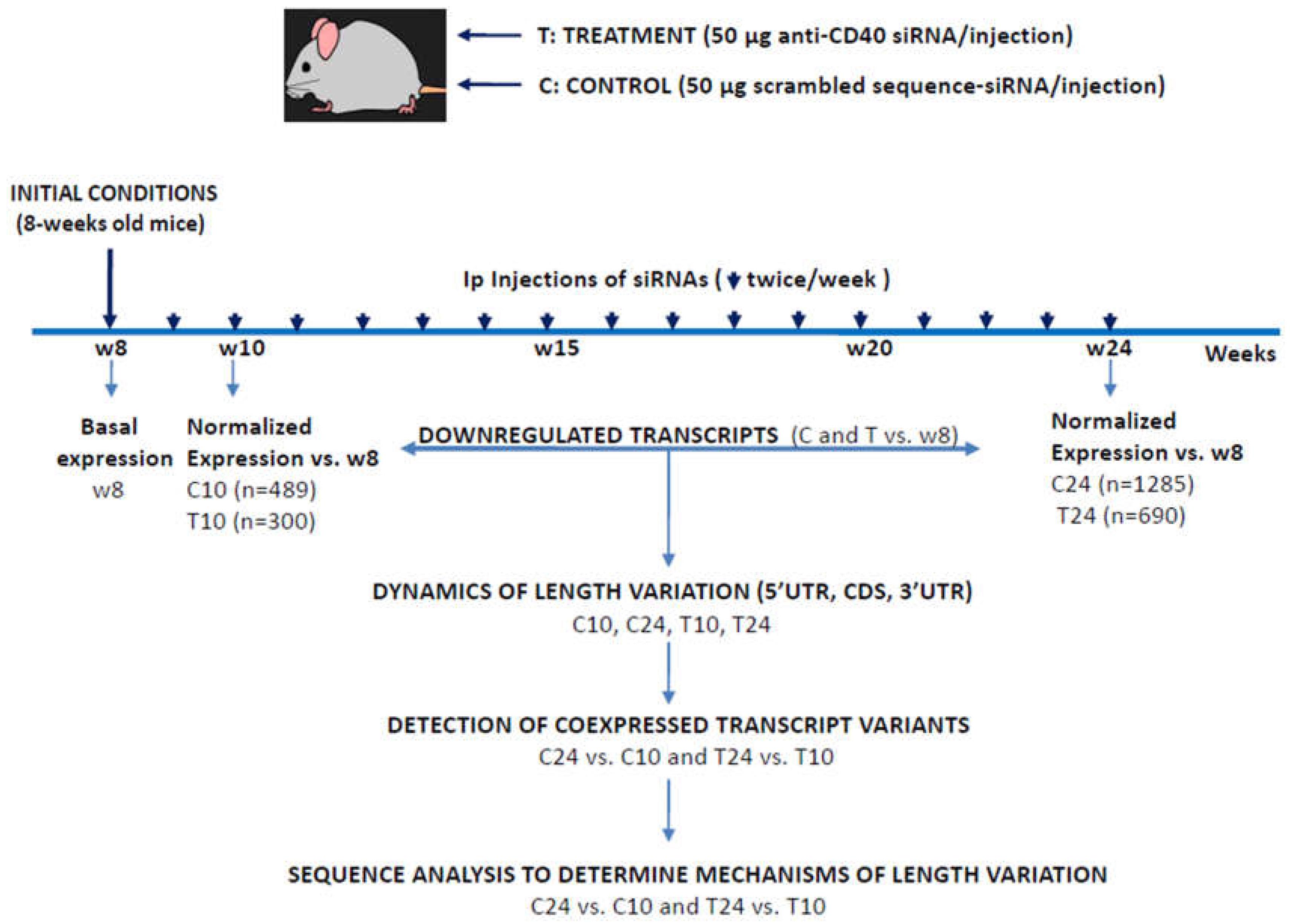 Preprints 119345 g001