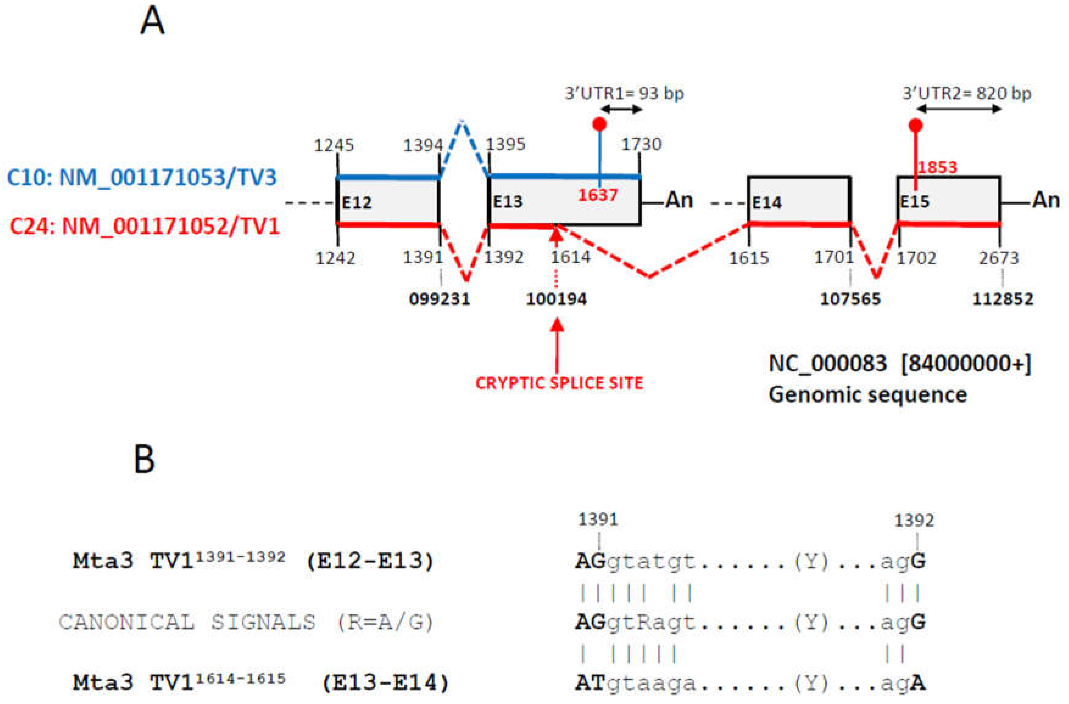 Preprints 119345 g006