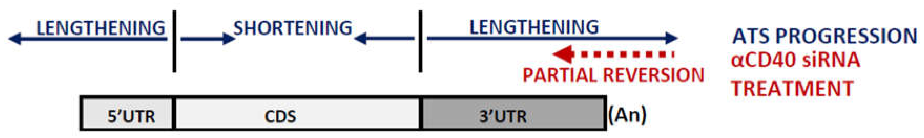 Preprints 119345 g007