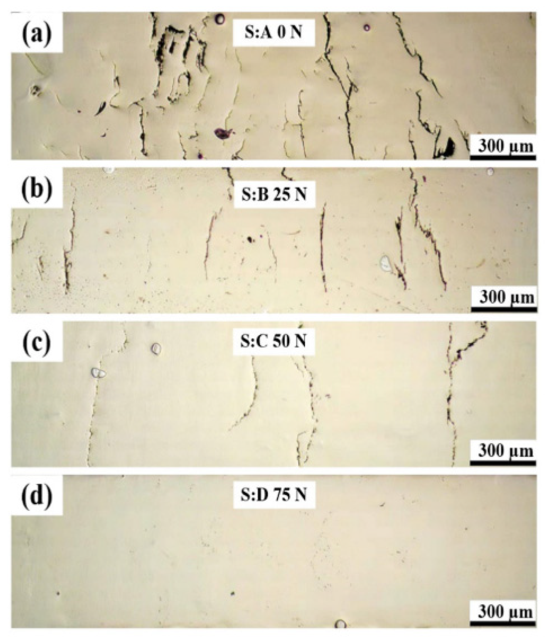 Preprints 76497 g010