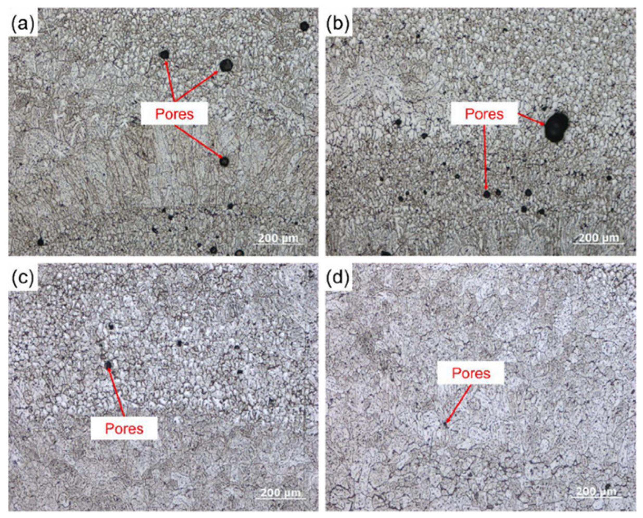 Preprints 76497 g011