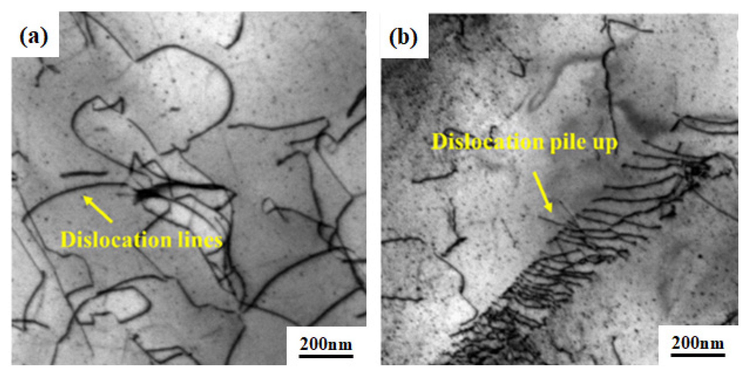 Preprints 76497 g015