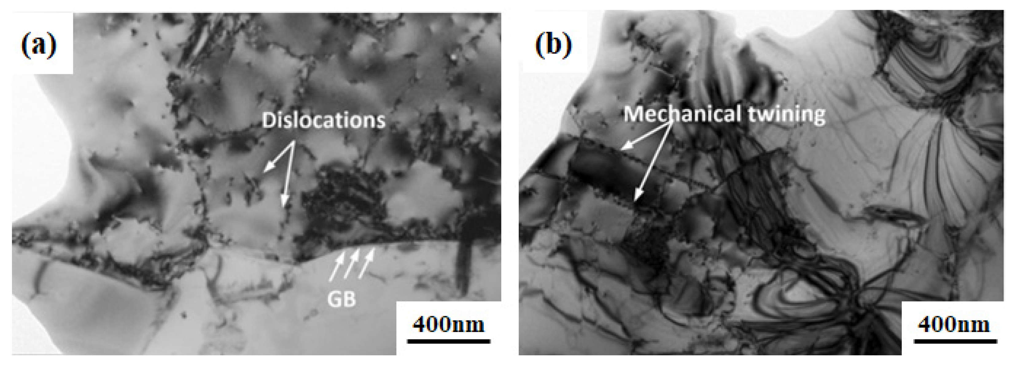 Preprints 76497 g016