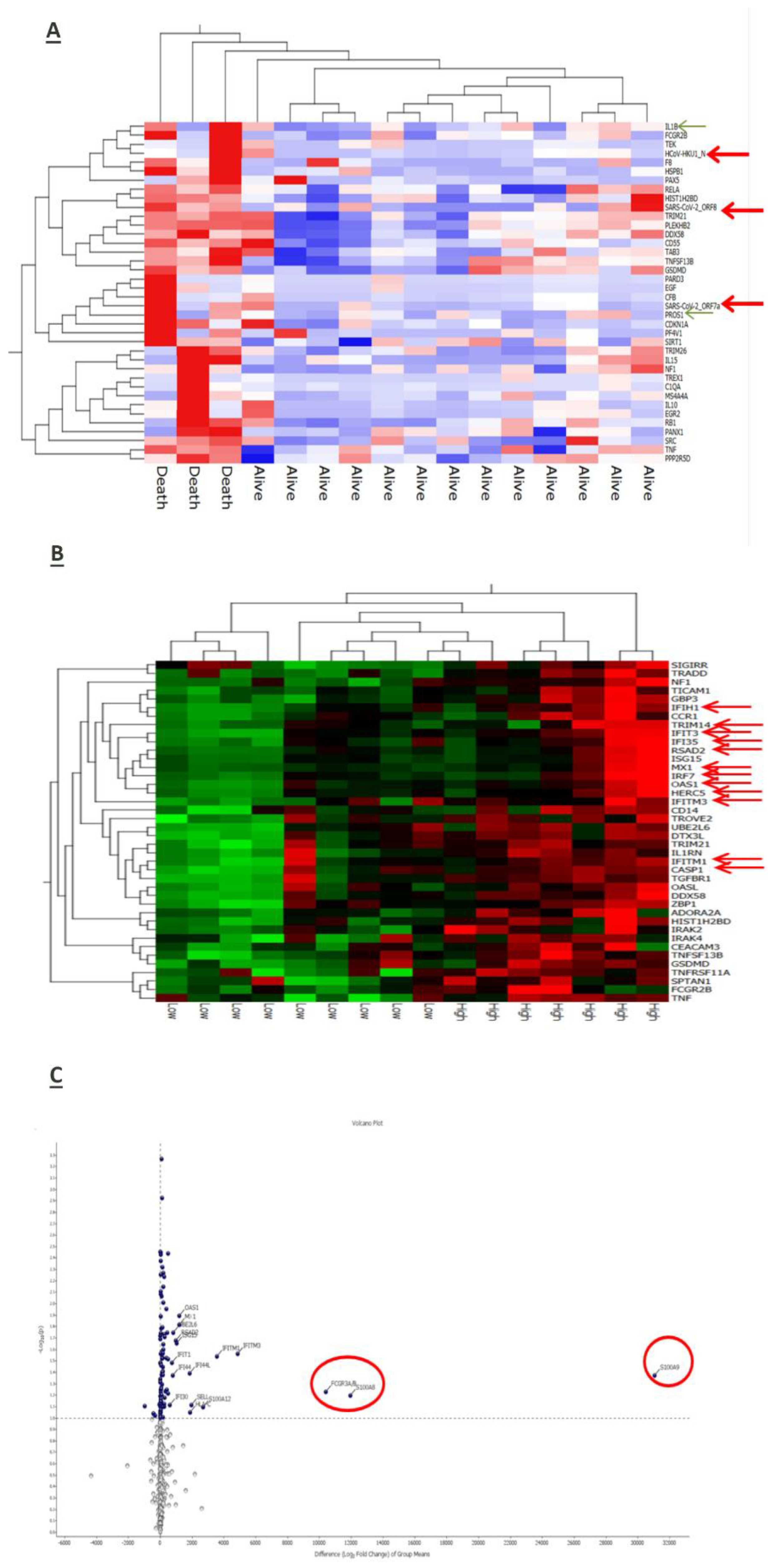 Preprints 101724 g004