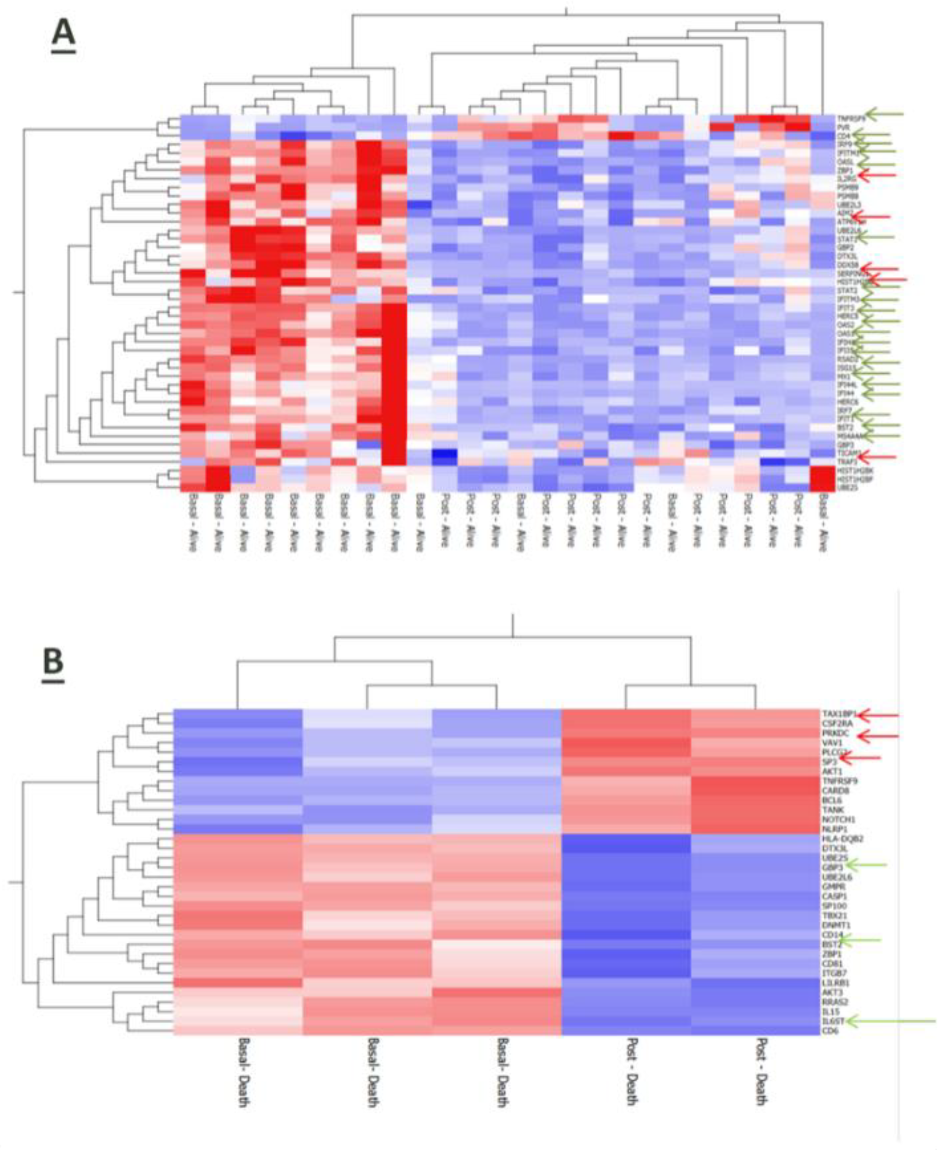 Preprints 101724 g005