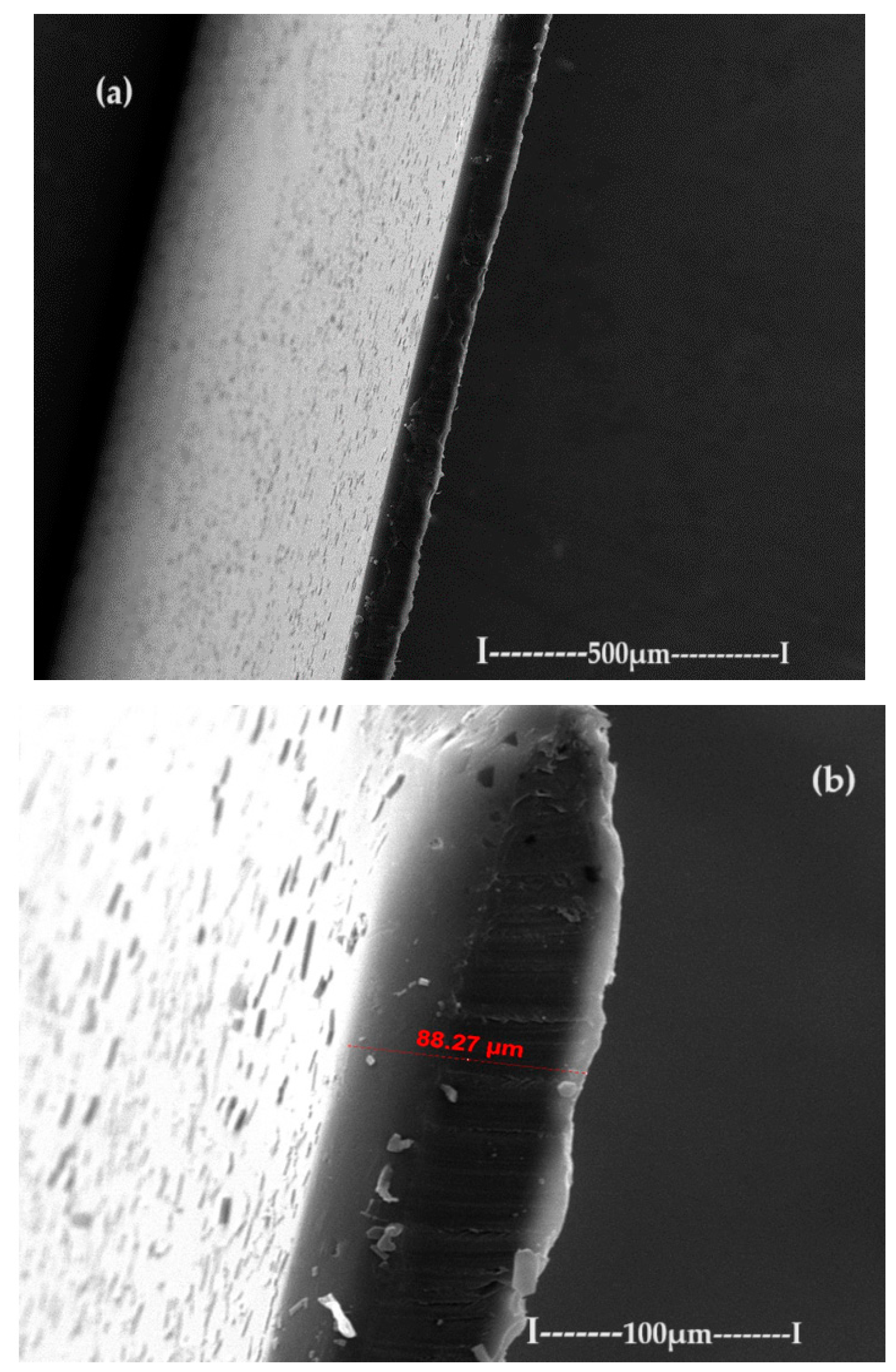 Preprints 93613 g005