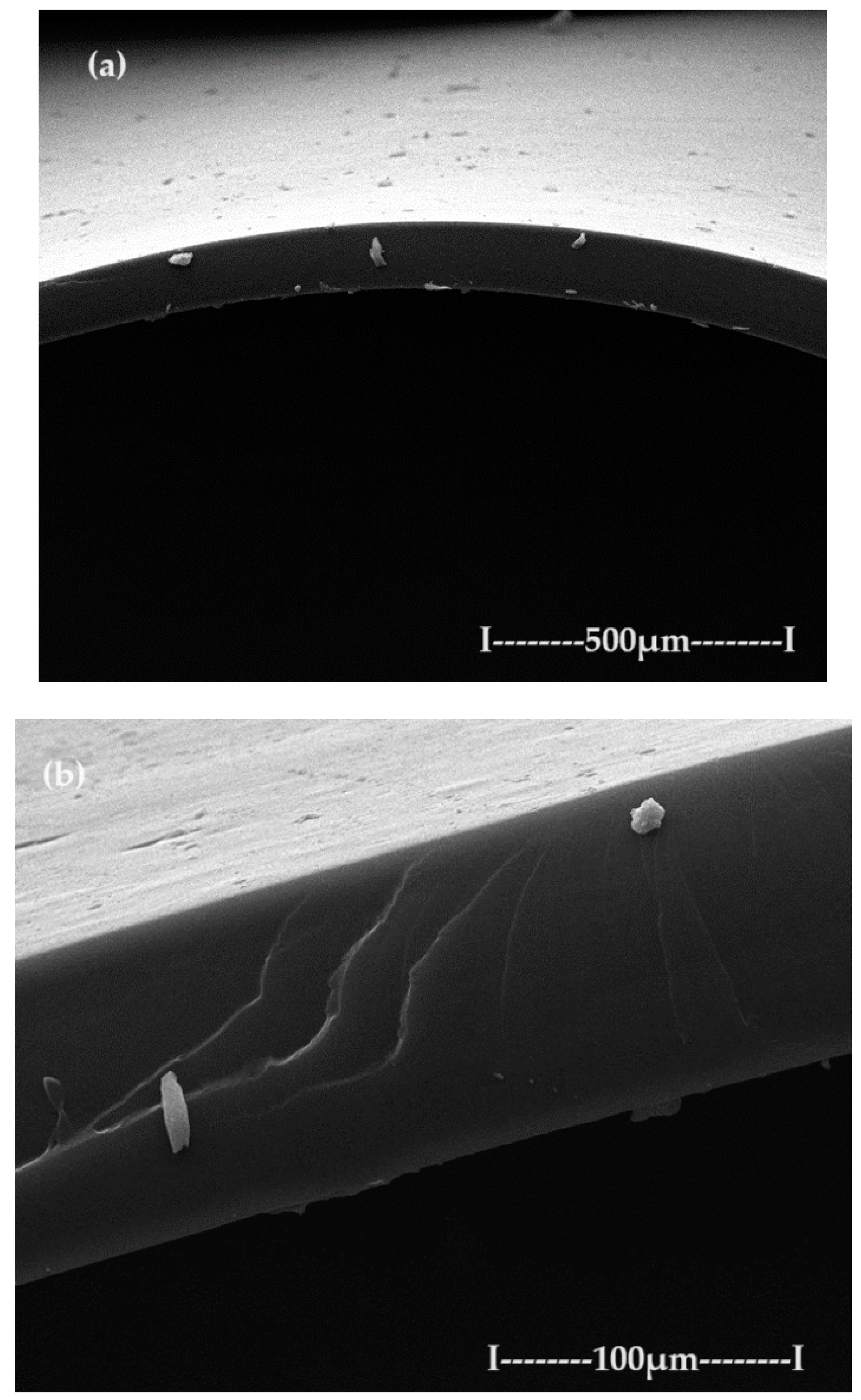 Preprints 93613 g007