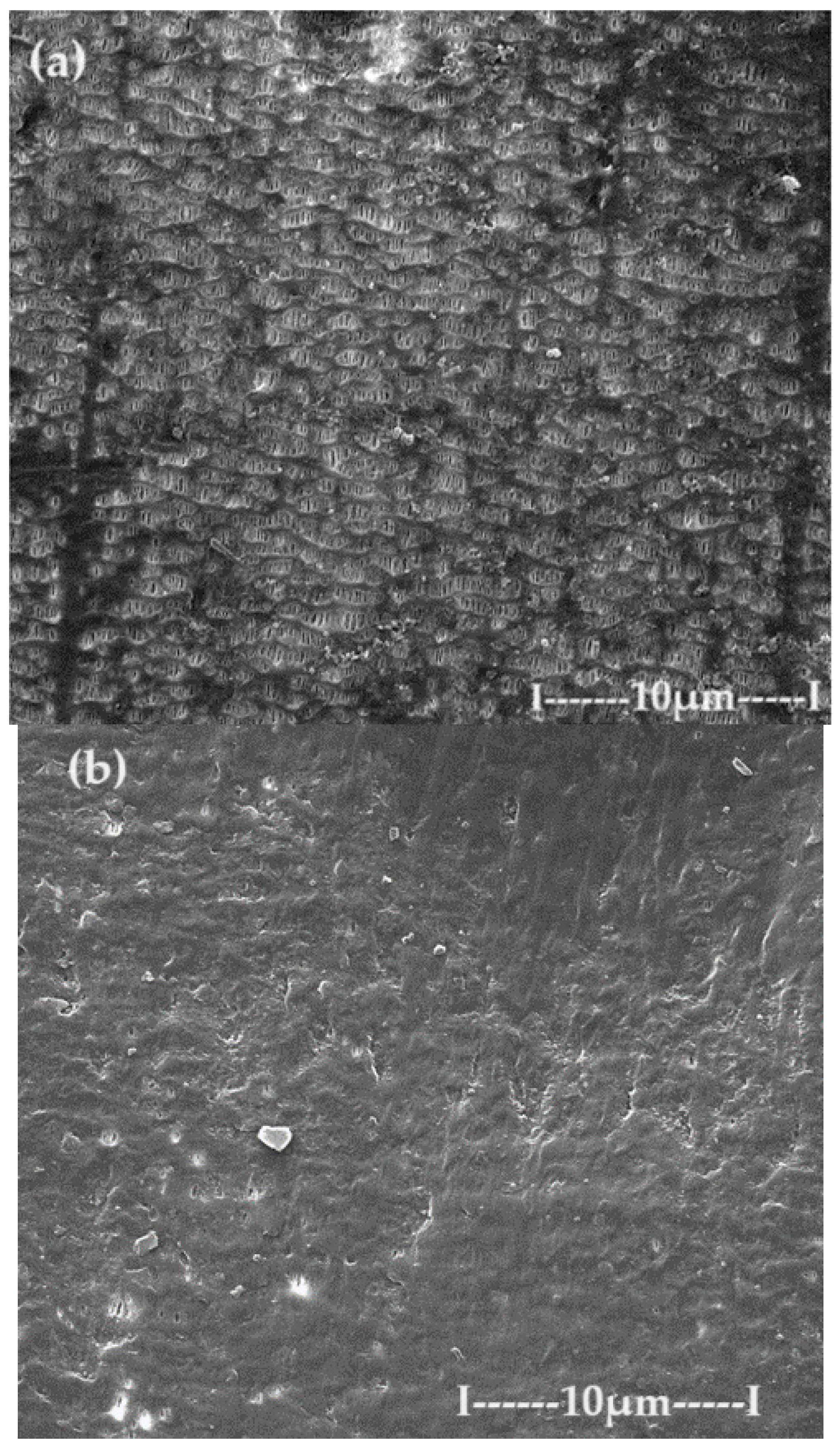 Preprints 93613 g009