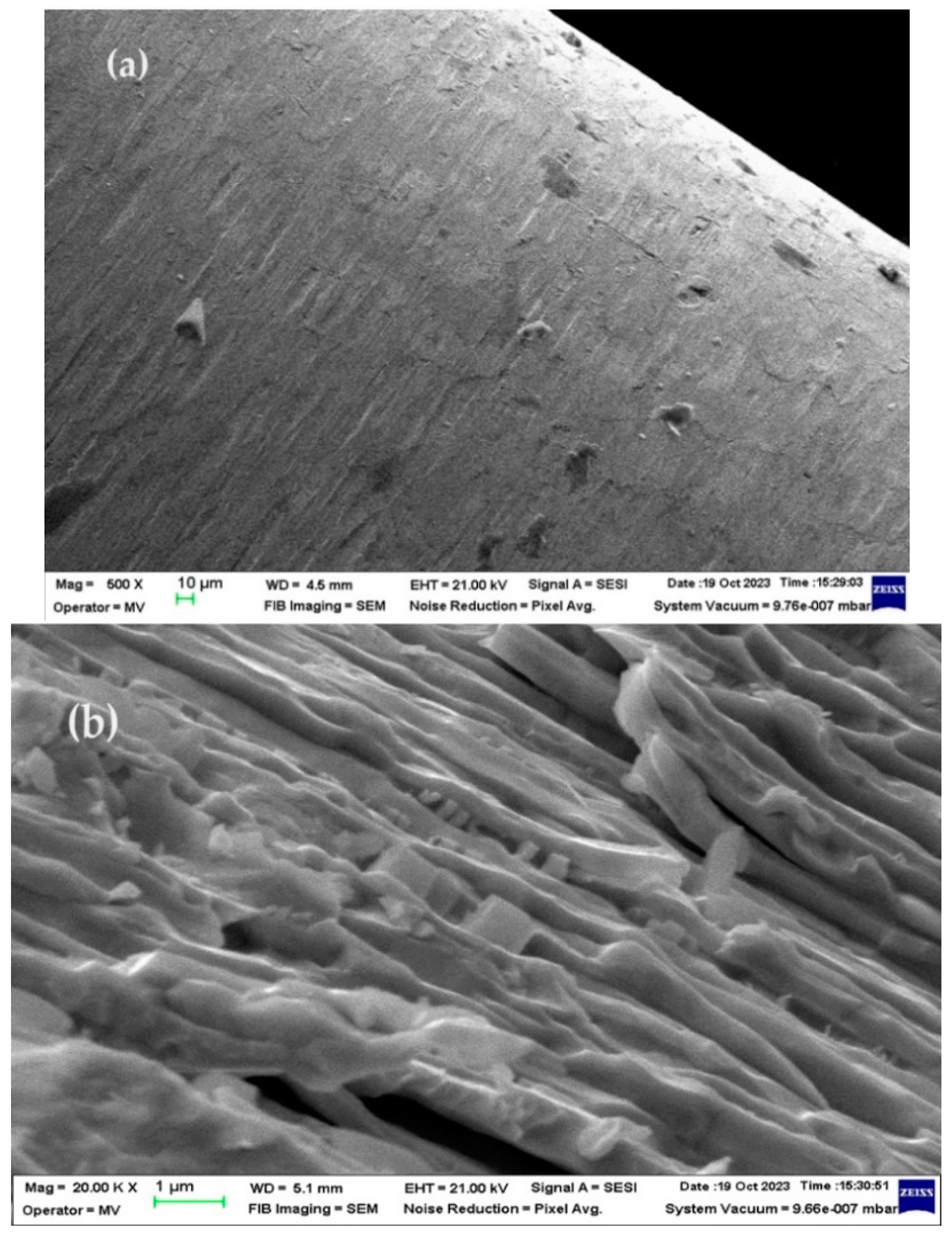 Preprints 93613 g011a