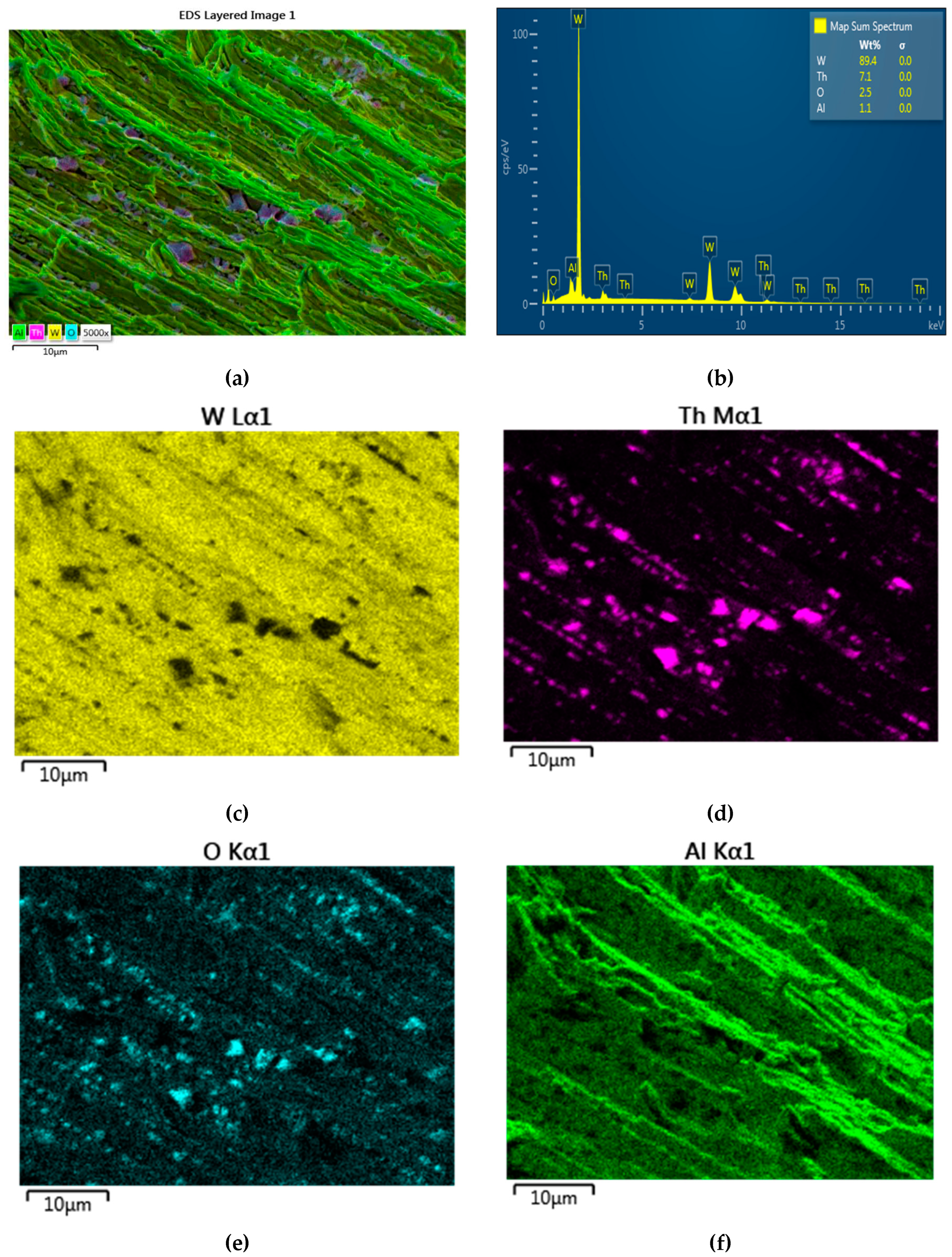 Preprints 93613 g012