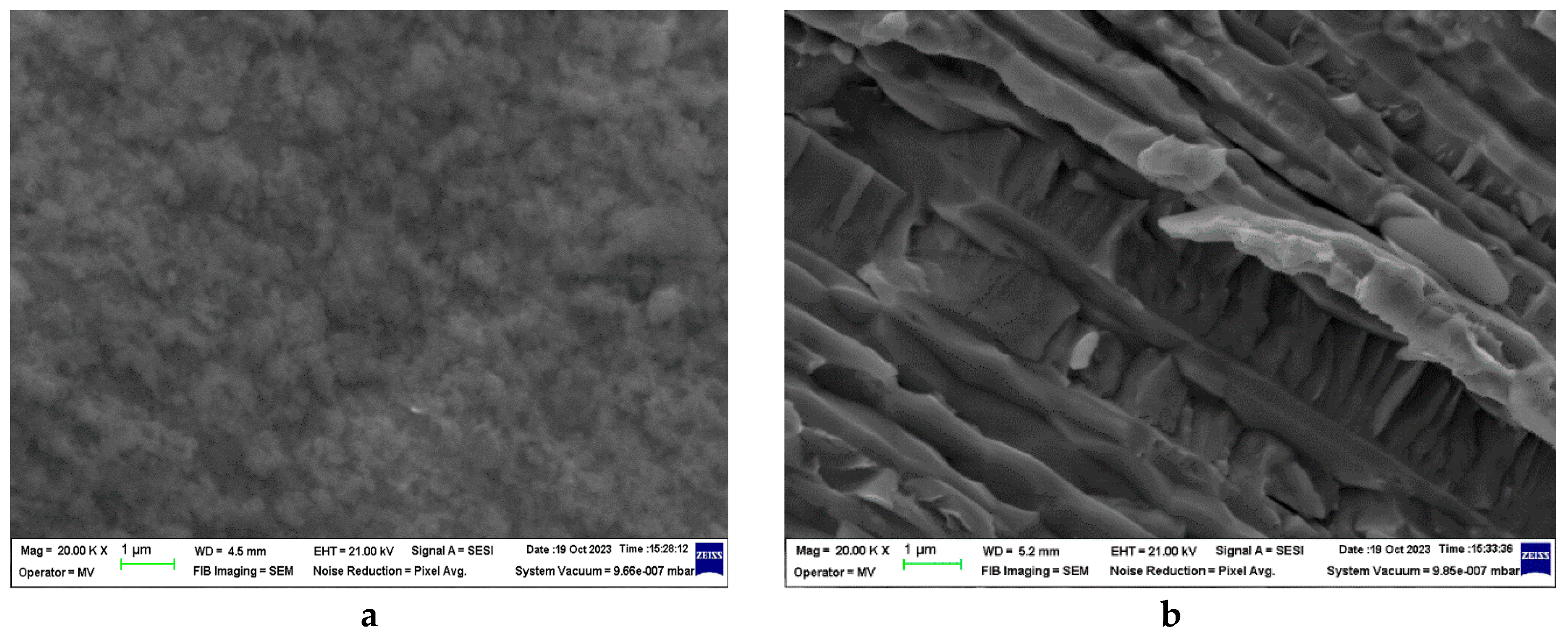 Preprints 93613 g016