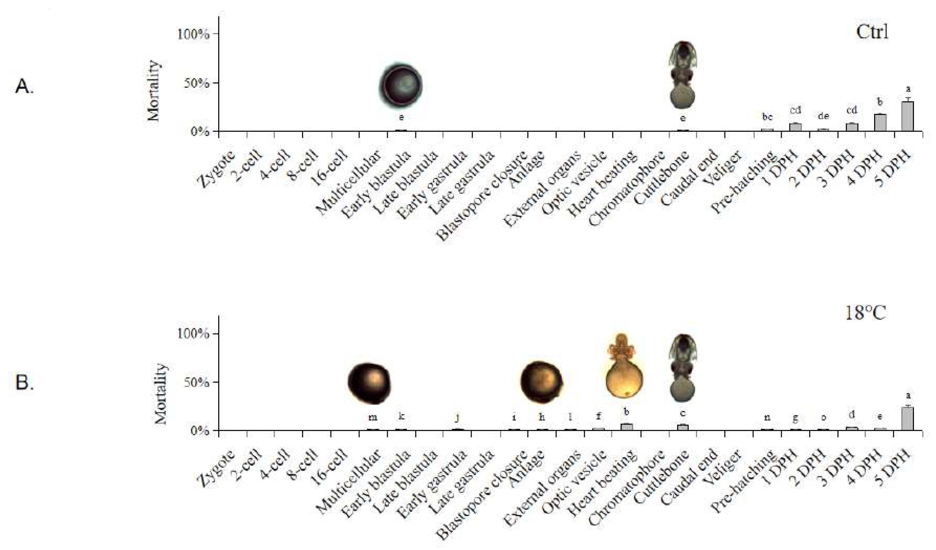 Preprints 86162 g001a