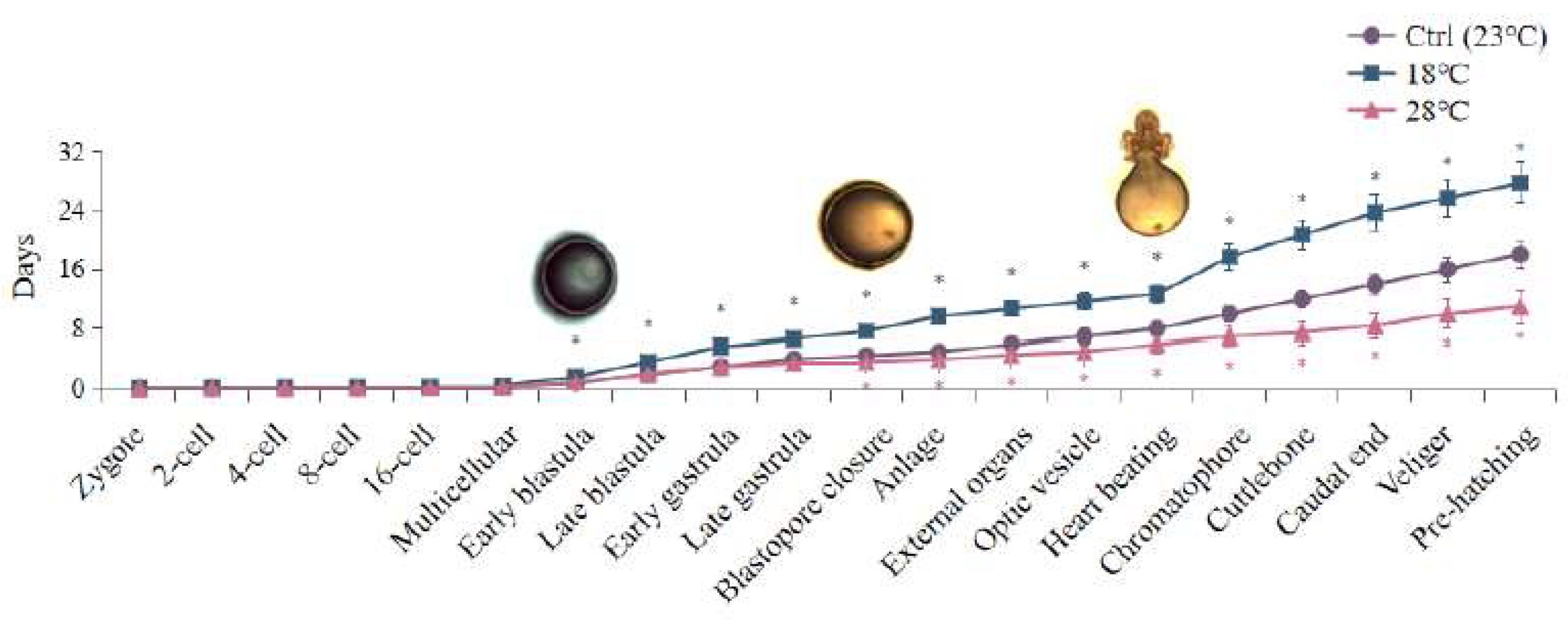 Preprints 86162 g002